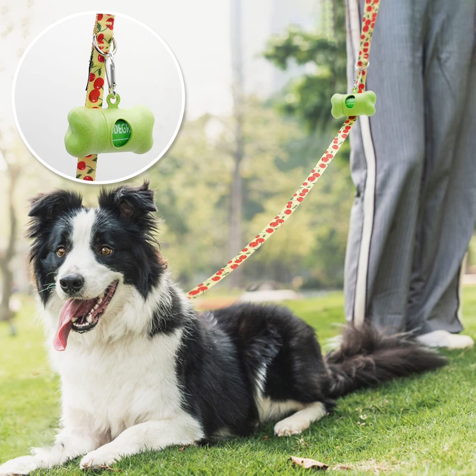 Azuza 3 Pack Fruit Design Nylon Dog Leashes Strong & Durable Basic Dog Leash With Easy To Use Collar Hook For Medium Dogs, M (5F