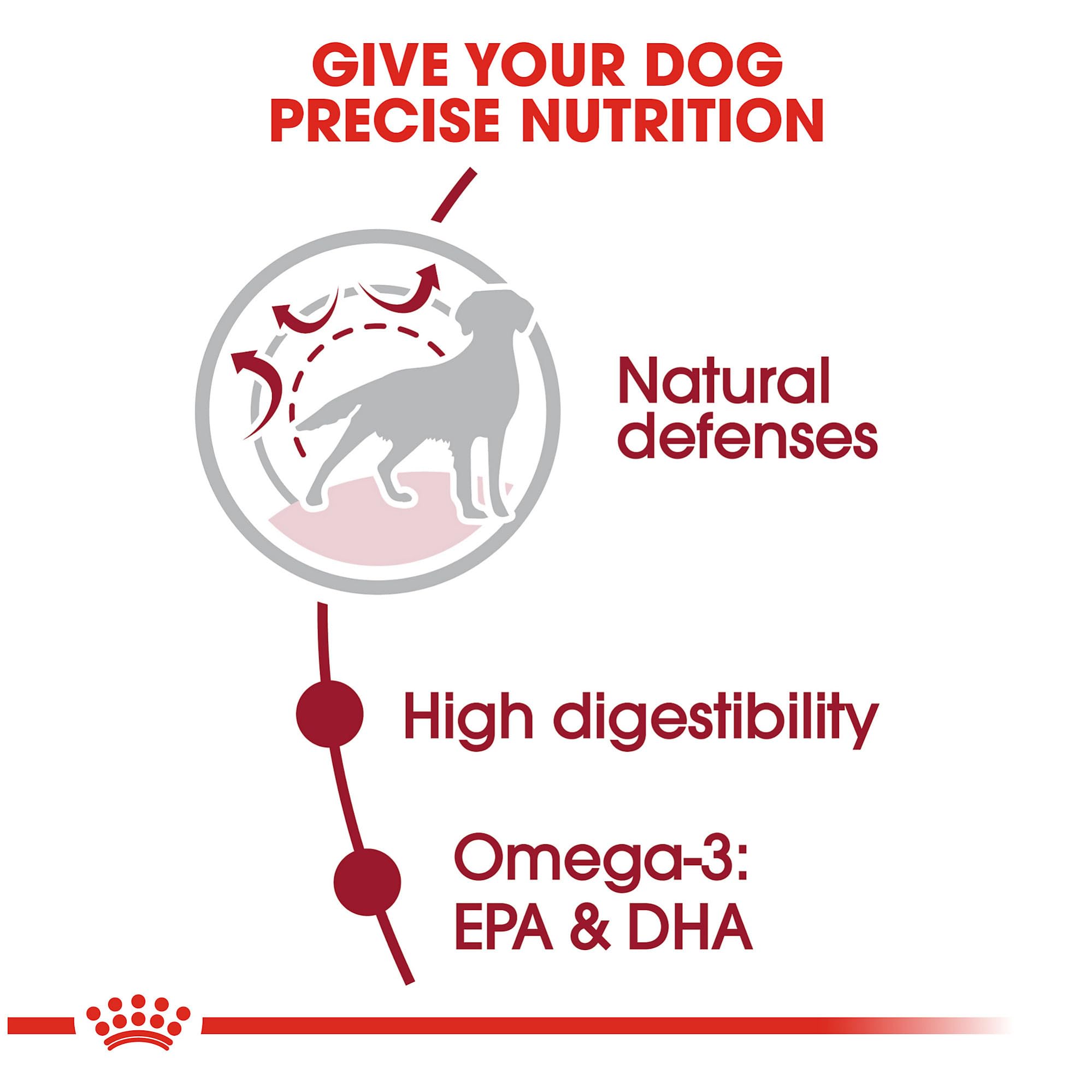 Royal Canin Size Health Nutrition Medium Adult 7+- Dry Dog Food, 30lb Bag