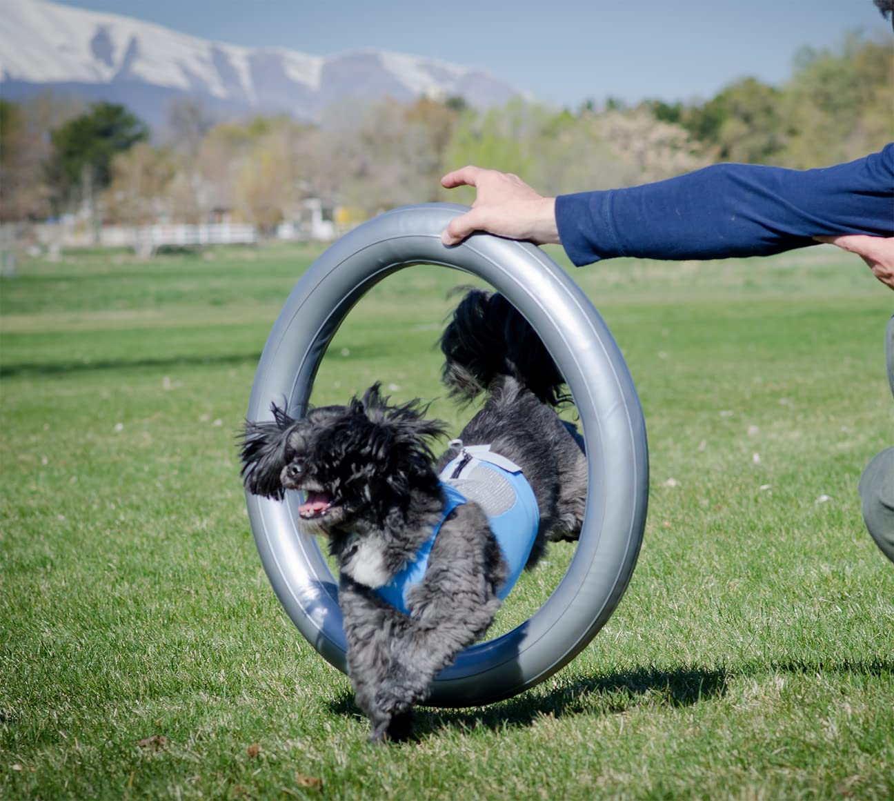 Fitpaws® Circular Product Holder For Fitpaws® Trax™ Donut | Dog Fitness And Agility Equipment