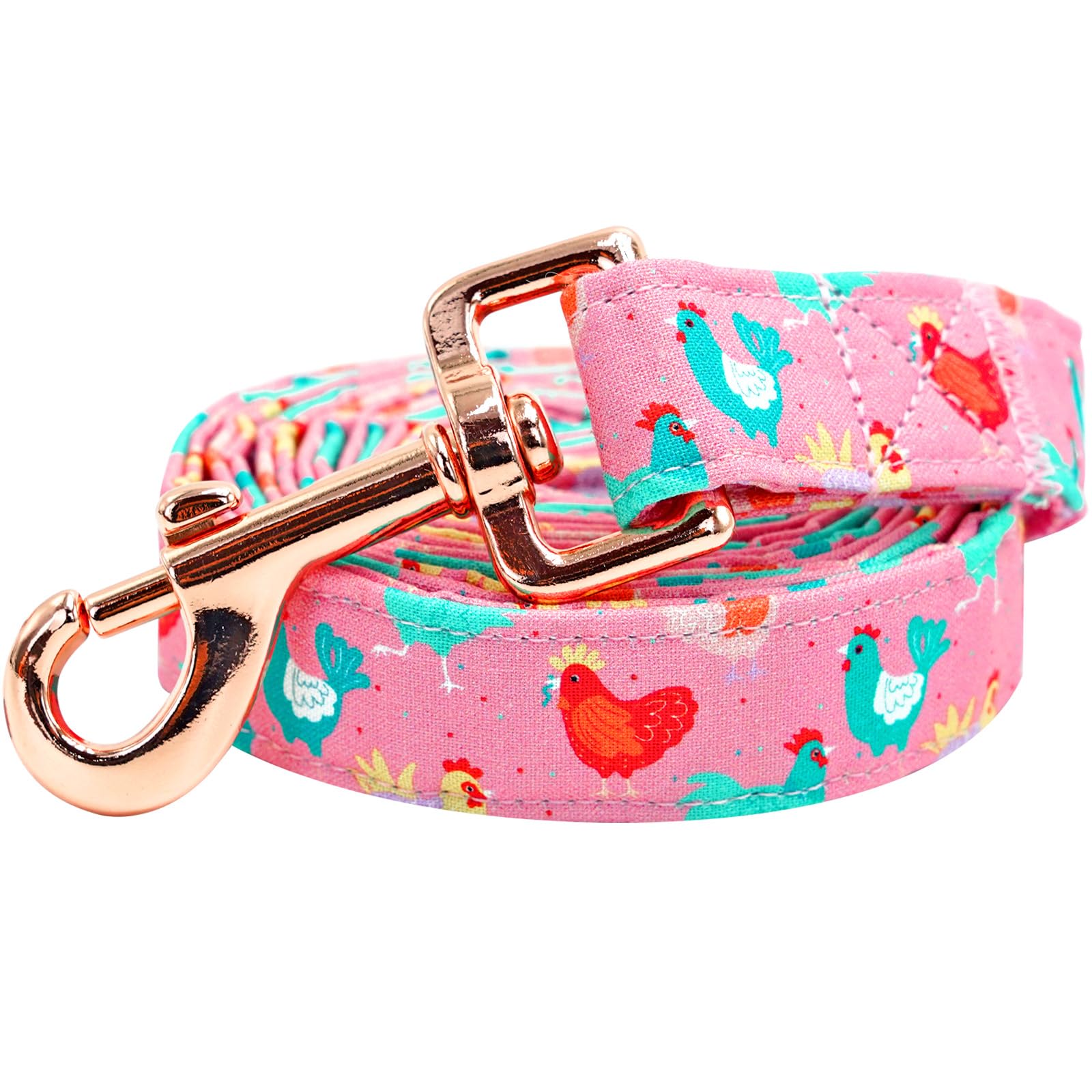 Lionheart Glory Easter Day Strong Dog Leash, Spring Summer Durable Dog Leashes With Soft Handle For Walking Training Medium Male