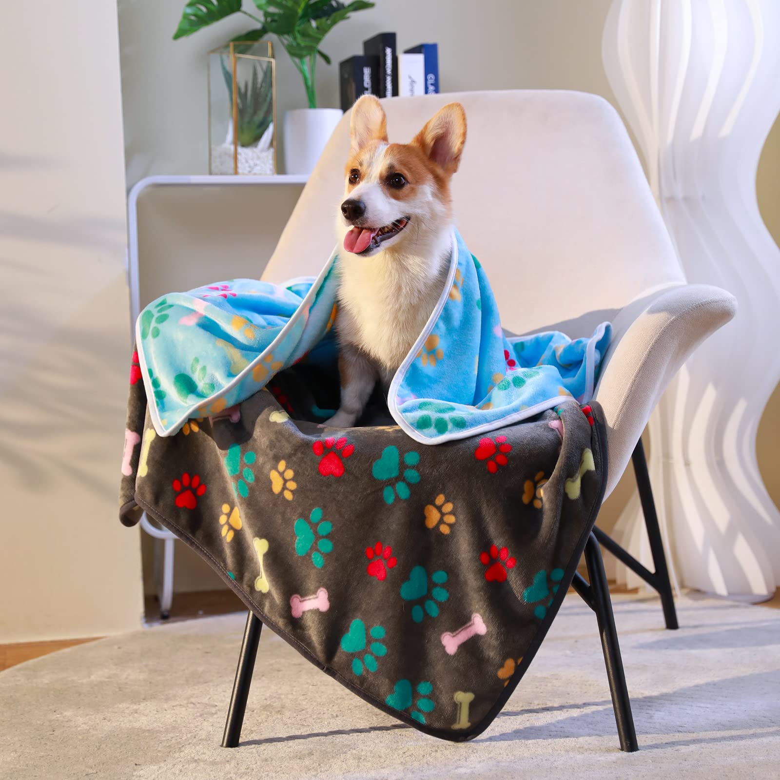 1 Pack 6 Blankets Dog Cat Soft Fluffy Fleece Pet Blanket Warm Cute Print Design Puppy Kitten Blanket Doggy Bone Medium(30X20)