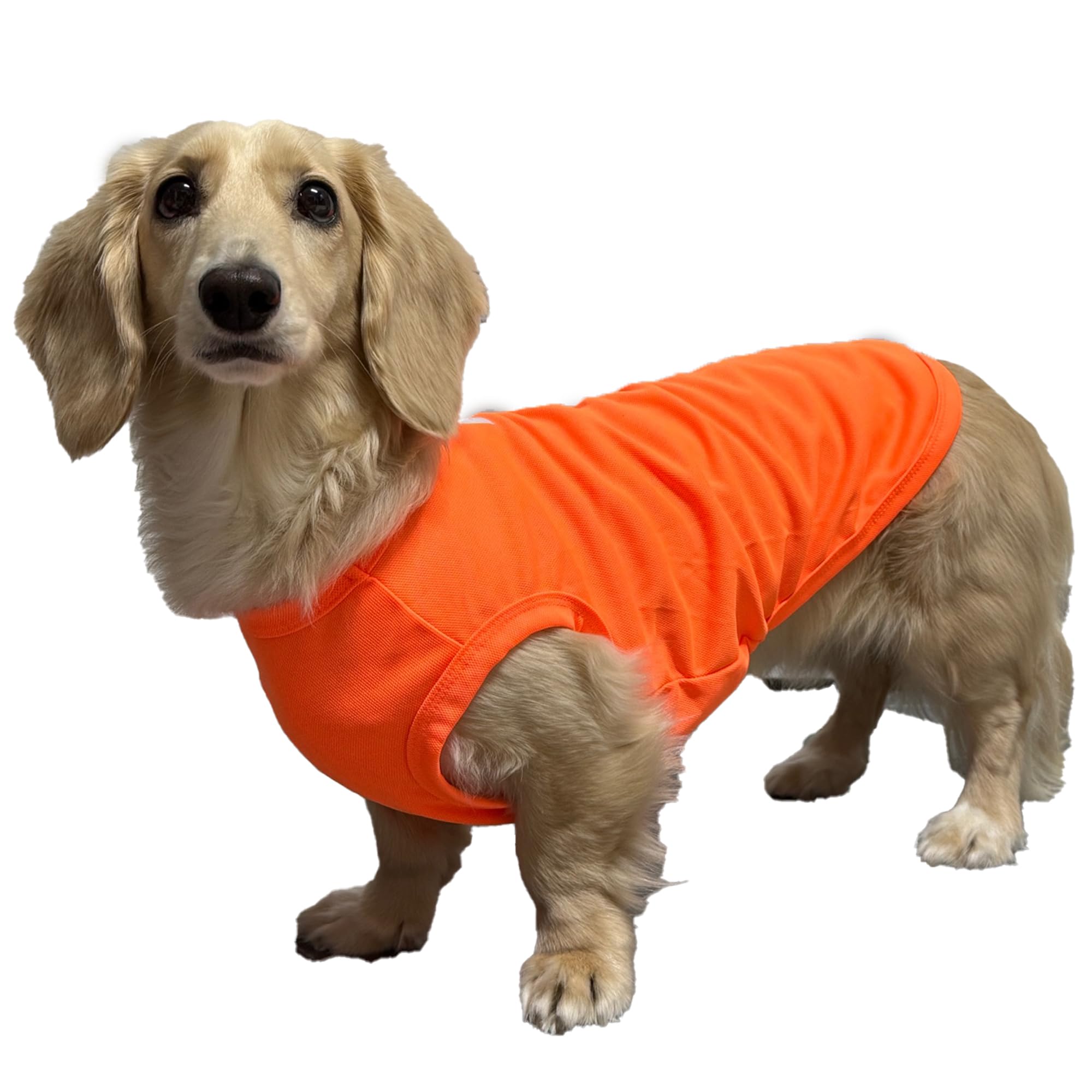 D Doggy Star Dachshund Clothes For Dogs Mini And Adults Neon T Shirts (Xl,Neon Orange)