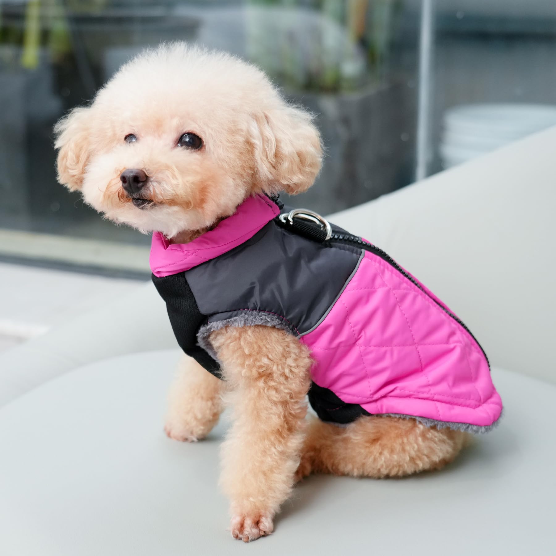 Joydaog Warm Fleece Dog Coats For Small Dogs,D-Rings Waterproof Puppy Jacket For Cold Winter,Pink M