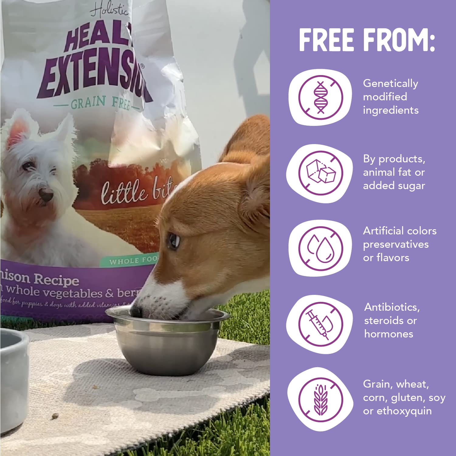 Health Extension Grain Free Venison & Sweet Potato Recipe Little Bites (3.5 lb / 1.59 kg) - Lean Protein Formula for Dogs with P