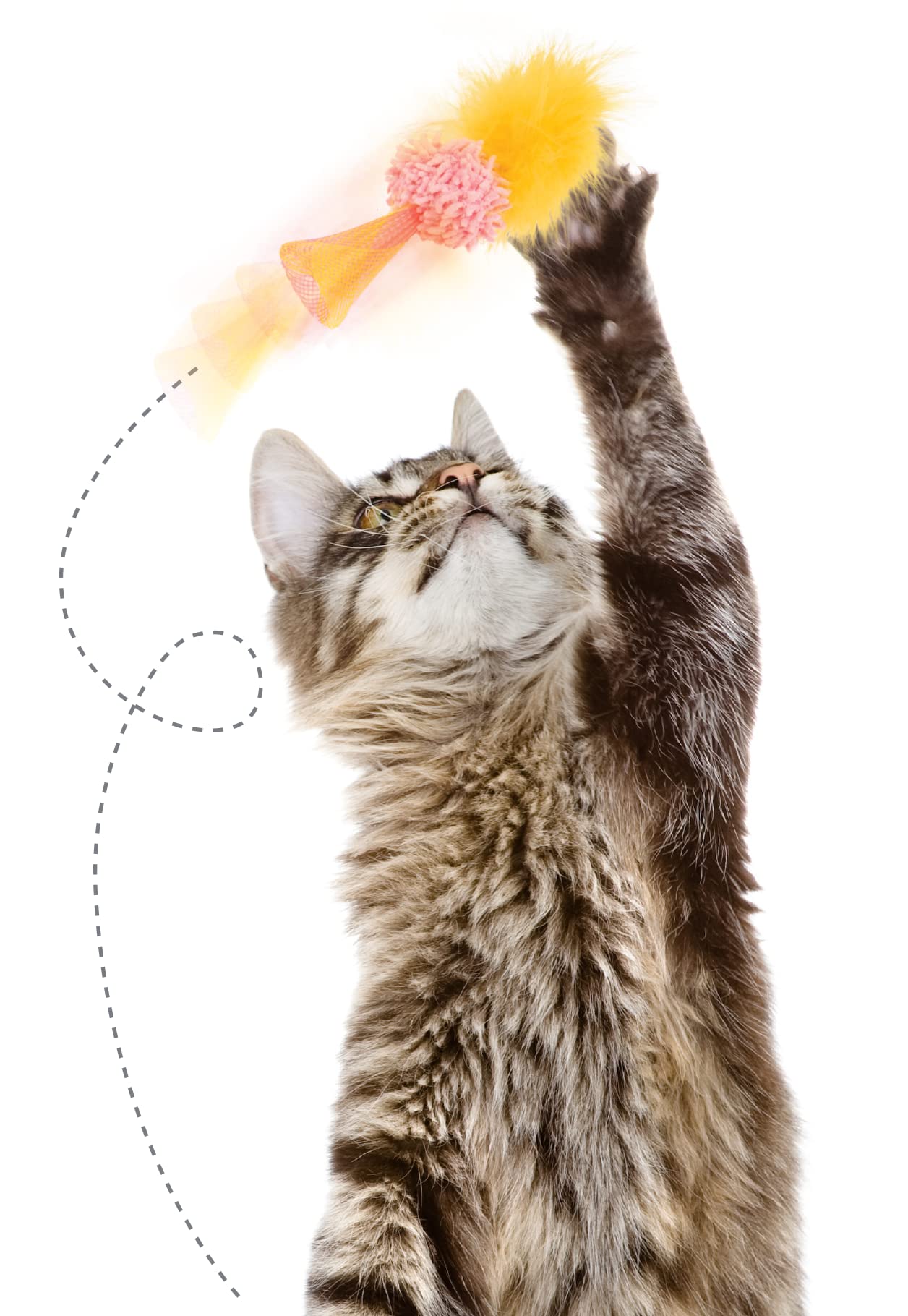 Smartykat Silly Springer Mesh Popup Cat Toy - Orange, One Size