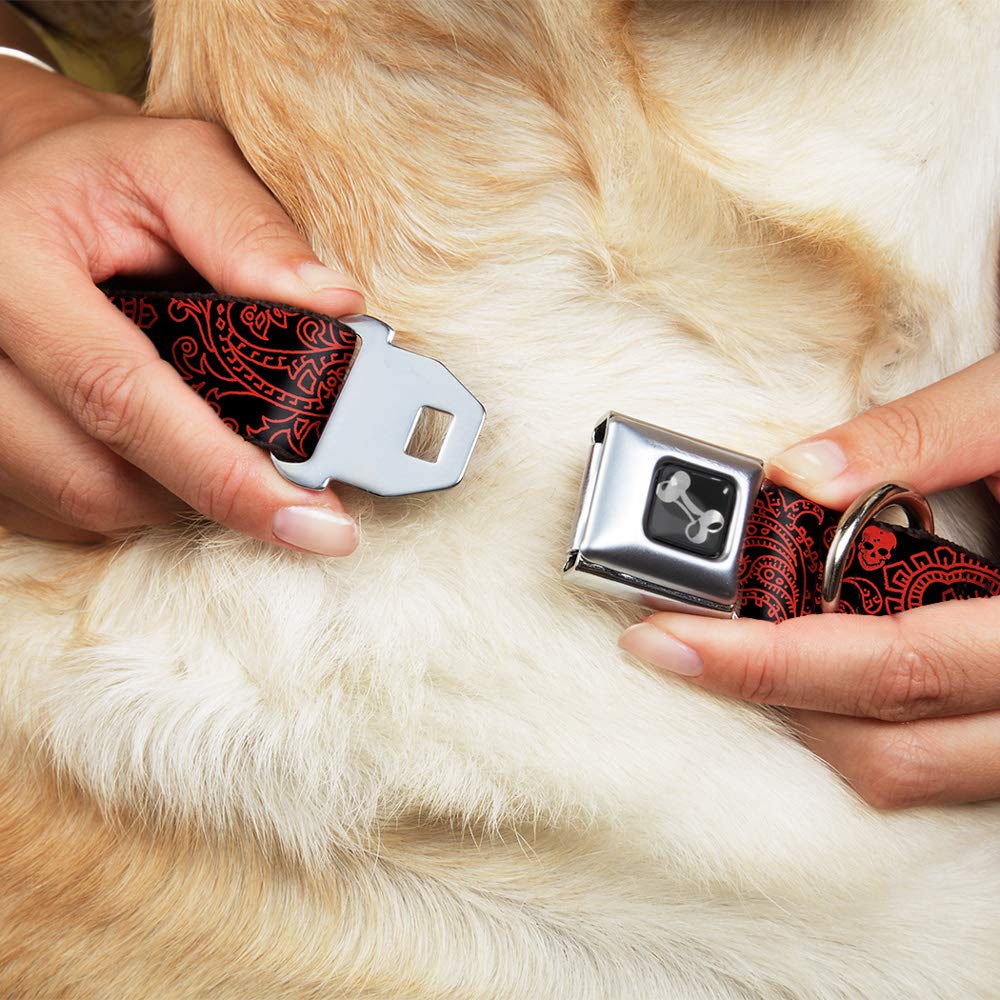 Buckle-Down Seatbelt Buckle Dog Collar - Bandana/Skulls Black/Red - 1.5' Wide - Fits 18-32' Neck - Large