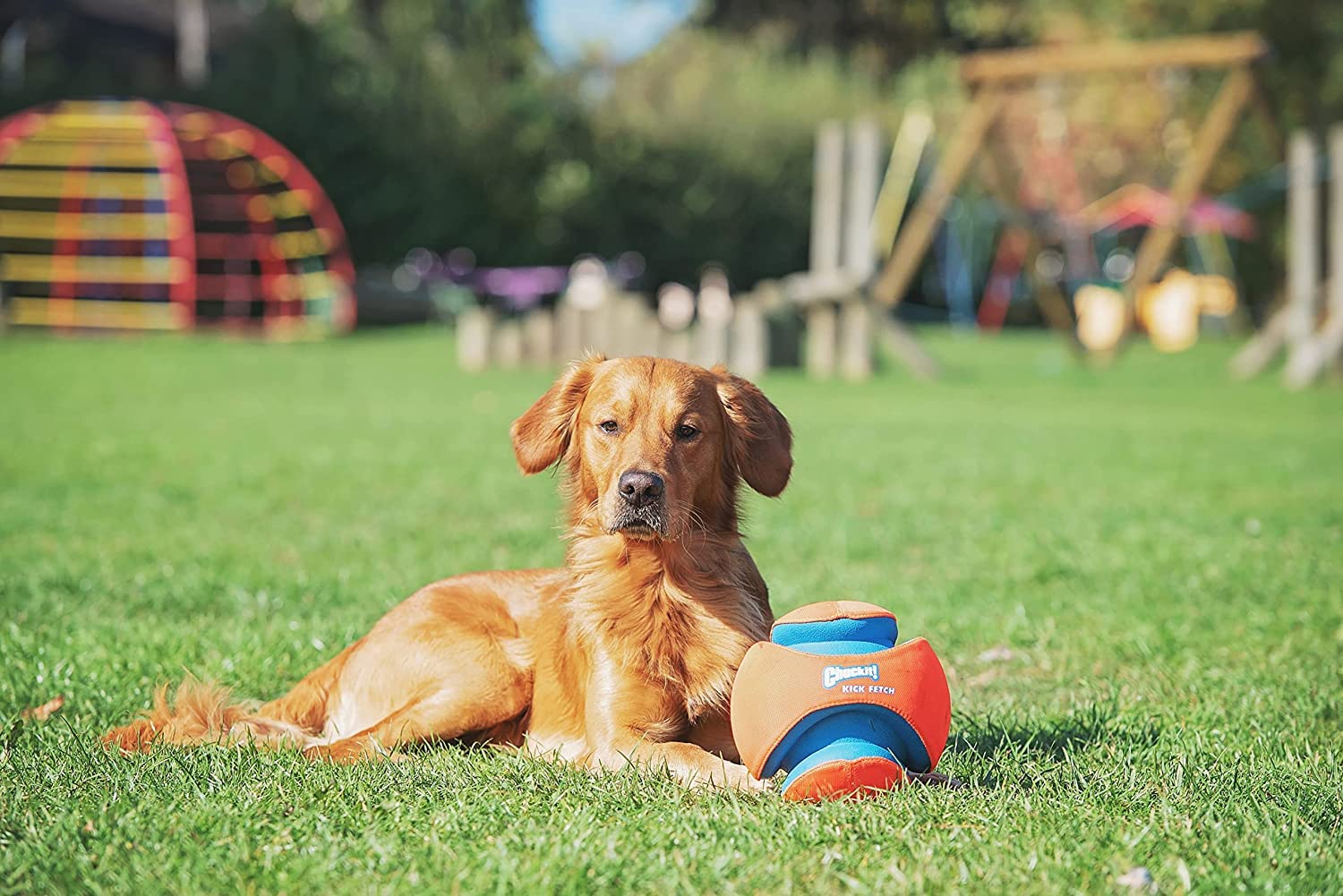 Chuckit! Kick Fetch Ball Large - Pack Of 6