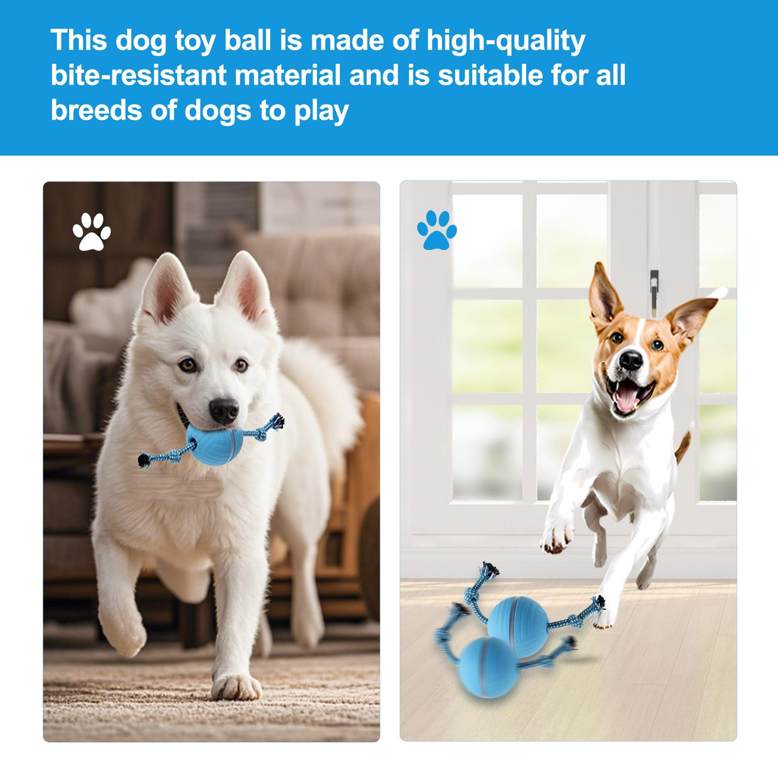 Petmolico Electric Dog Balls - Motion Activate Rolling Ball Toys For Puppy - Interactive Dog Toys For Boredom(Blue,Remote Contro