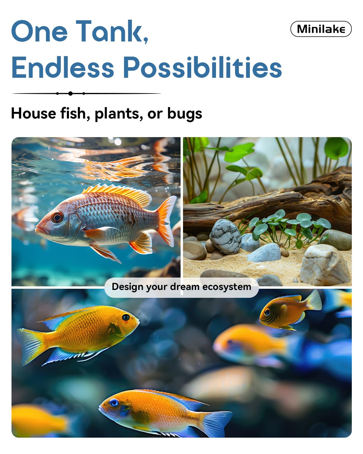 Minilake 5 Gallon Glass Fish Tank Kit with Filter & Lights, Clear, Model ML-HG-5G, Ideal for Betta & Goldfish