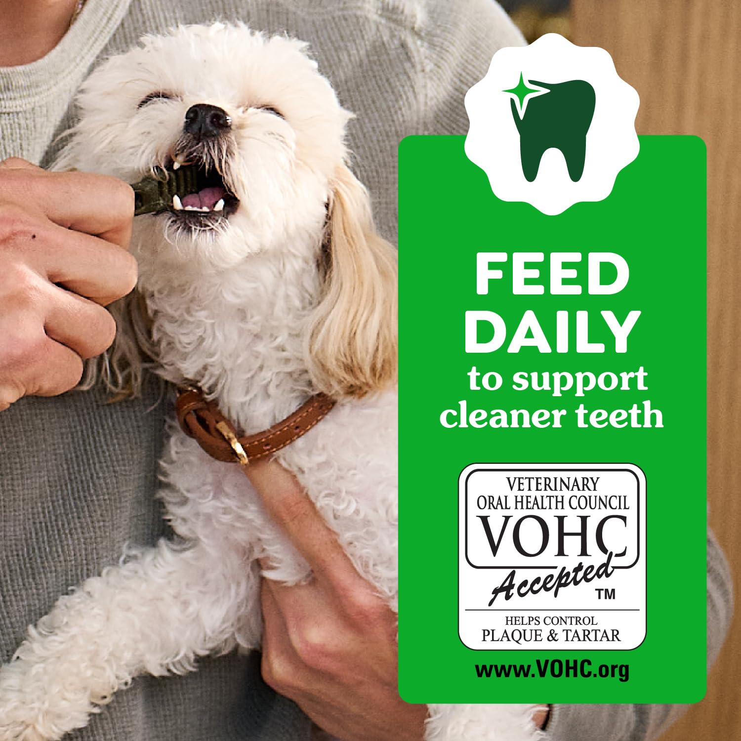 Greenies Puppy Regular Size Natural Dental Dog Treats, 6 oz. Pouch (6 Treats)