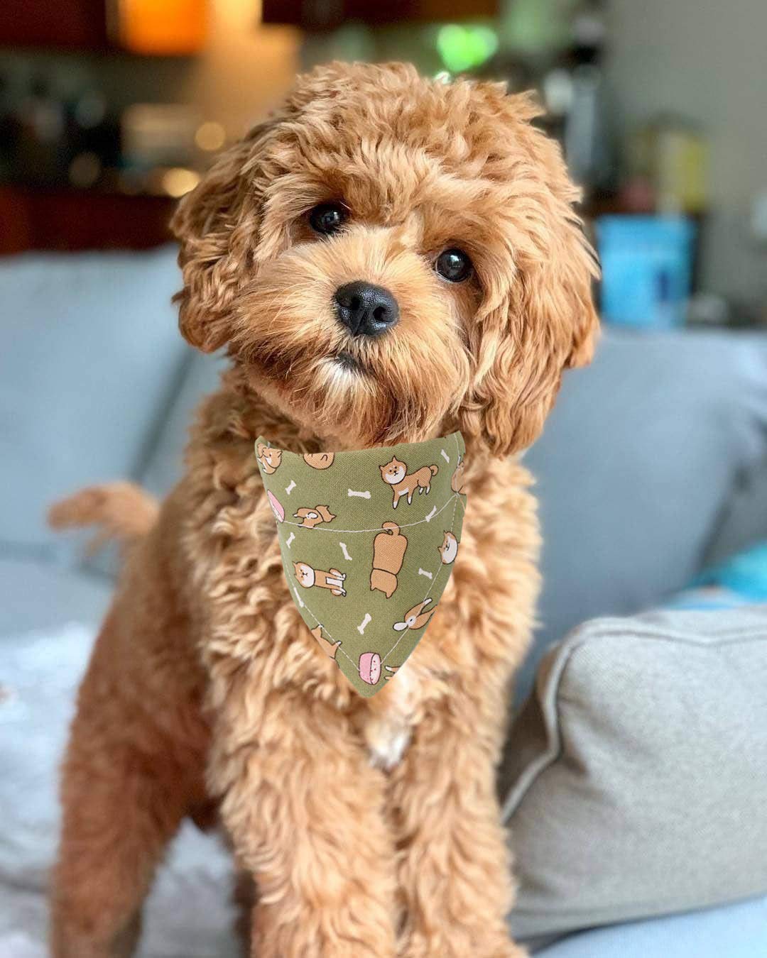 Timoey Dog Collars For Small Dogs,Adjustable Leather Puppy Collar Bandana And Cute Style Dog Bandanas For Large Dogs(Medium)