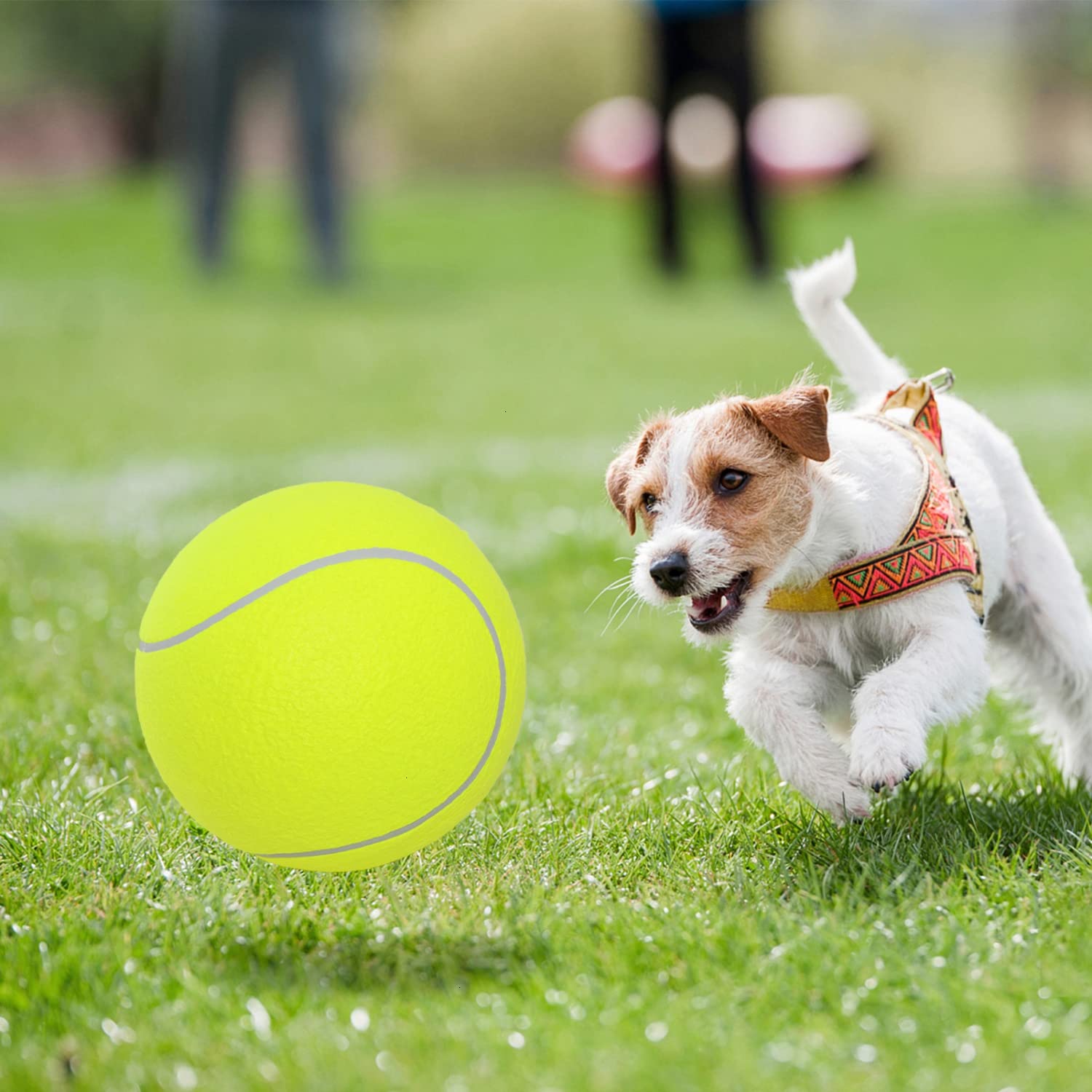 Pomeat 2 Pcs Gaint Tennis Ball For Dogs, 9.5'' Inflatable Large Tennis Balls Pet Chew Toy, Inflatable Rubber Non-Toxic Pet Toy B