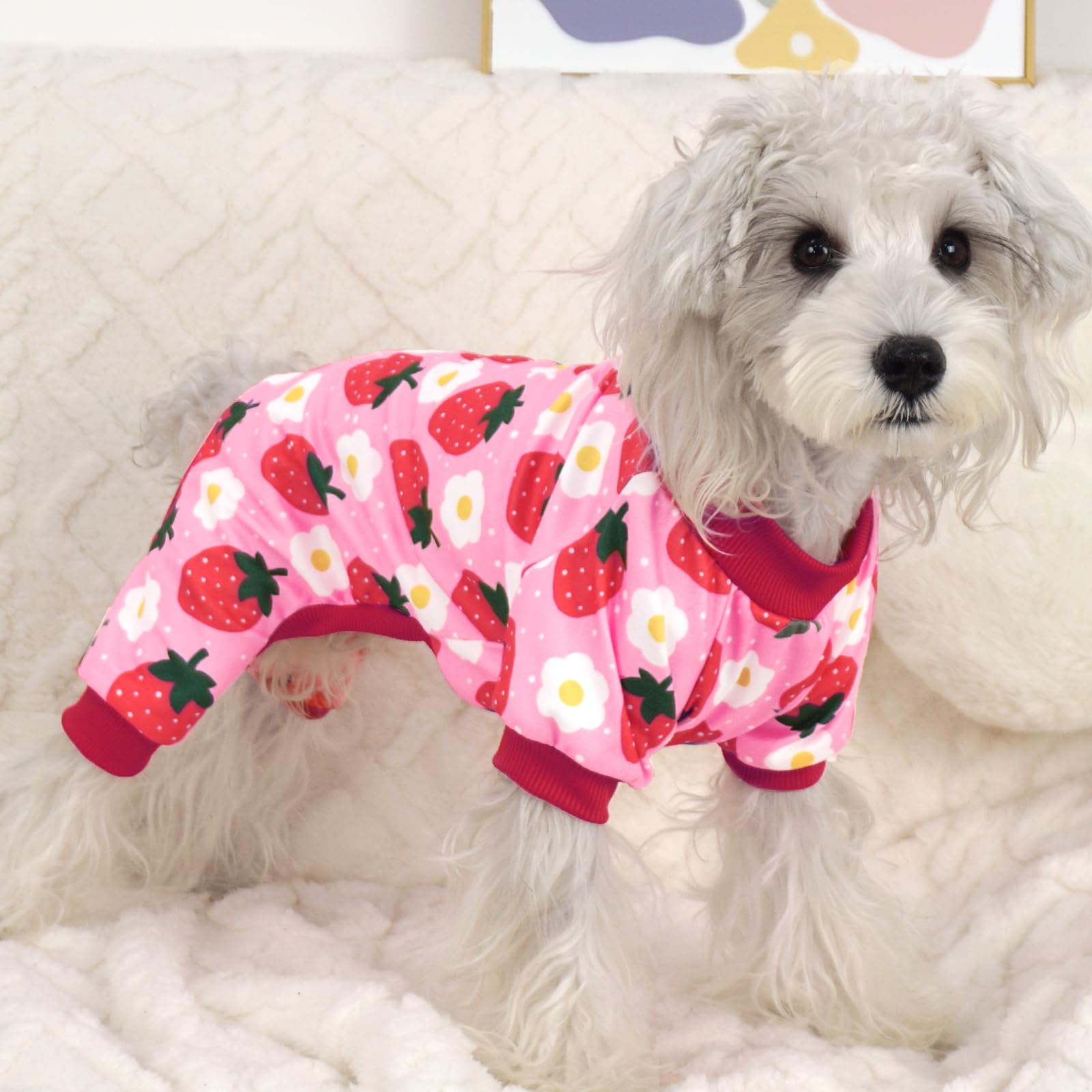 Xpudac Dog Pajamas For Small Medium Dogs, Strechy Soft Dog Clothes For Dogs Girl Boy Pet Jumpsuit, Cat Onesie-2Xl