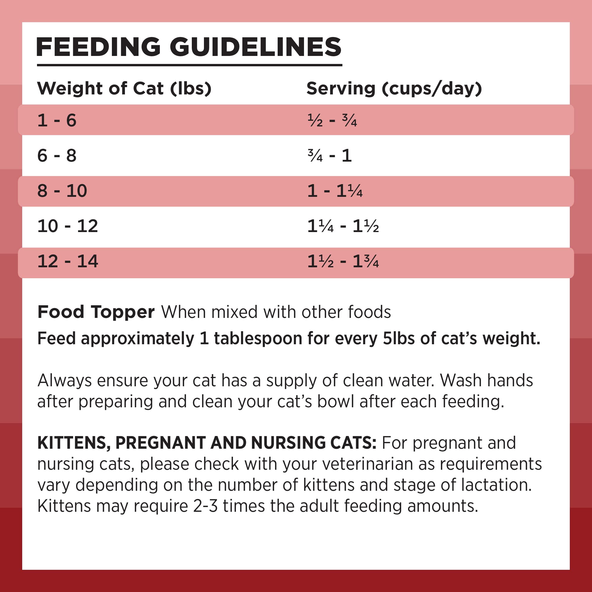 BIXBI Rawbble Freeze Dried Cat Food, Beef Recipe, 10 oz - 97% Meat and Organs, No Fillers - Pantry-Friendly Raw Cat Food for Mea