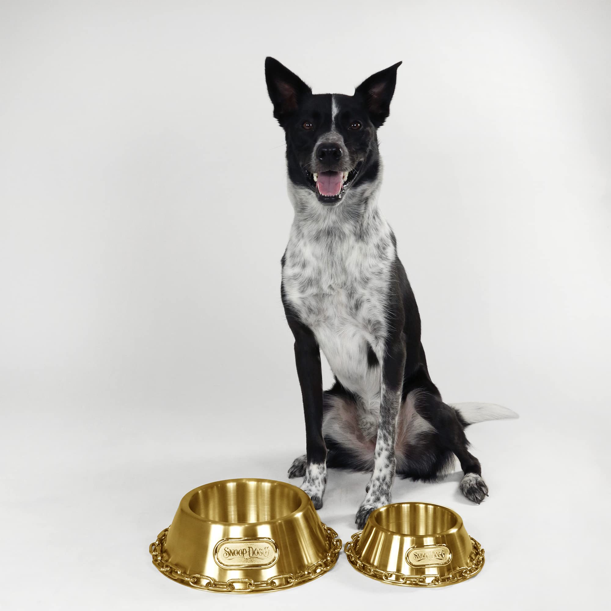 Snoop Doggies Doggs Deluxe Off The Chain Pet Bowl, Gold, Small