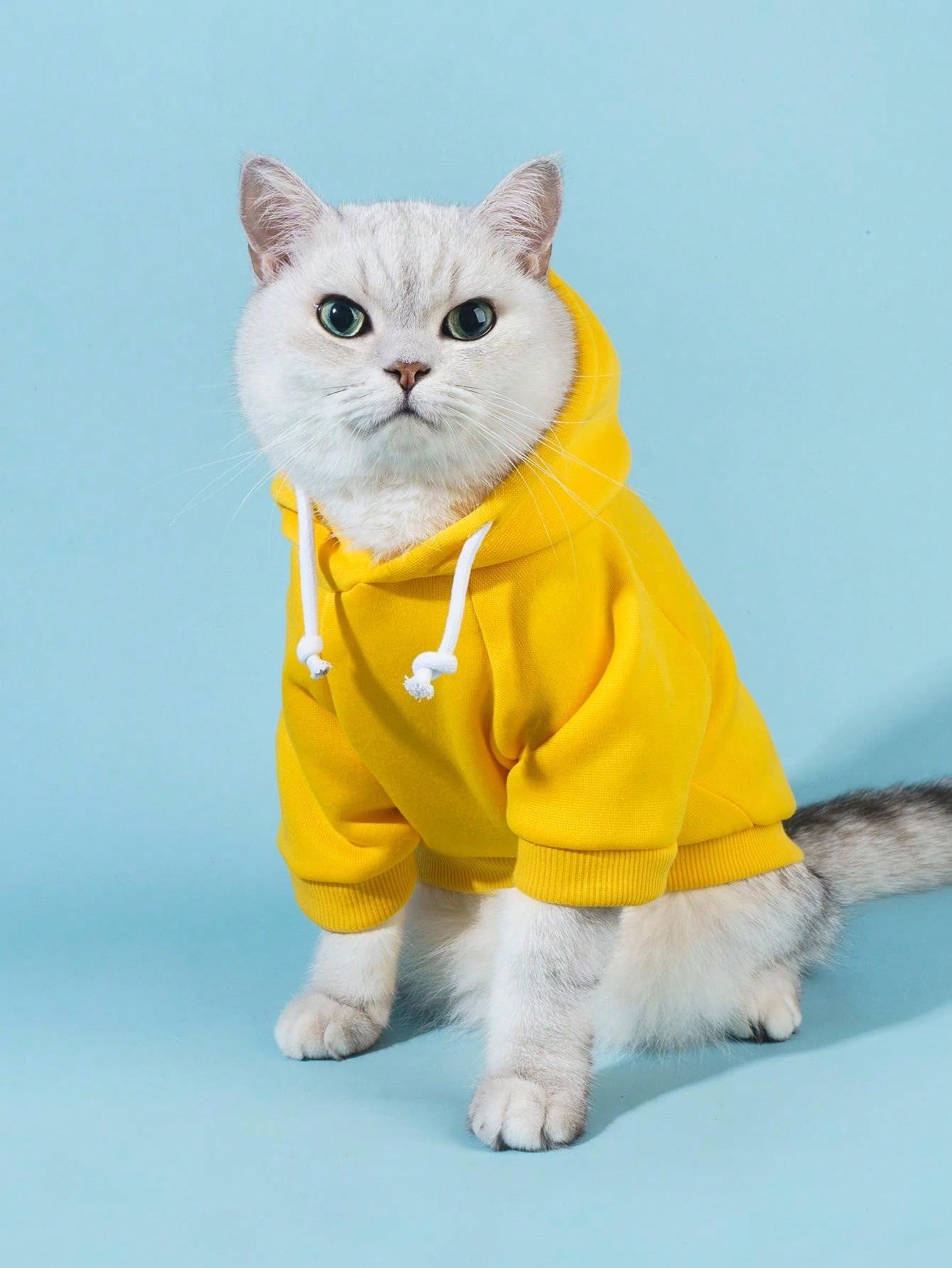 Qwinee Basic Dog Hoodie, Dog Warm Jacket, Cat Apparel, Dog Shirt, Dog Clothes For Puppy Kitten Small Medium Dogs Cats Yellow L