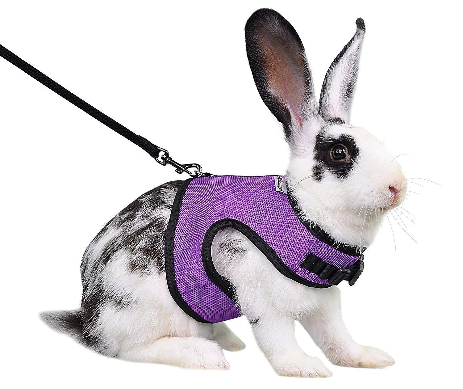 Niteangel Adjustable Soft Harness With Elastic Leash For Rabbits (M, Purple)