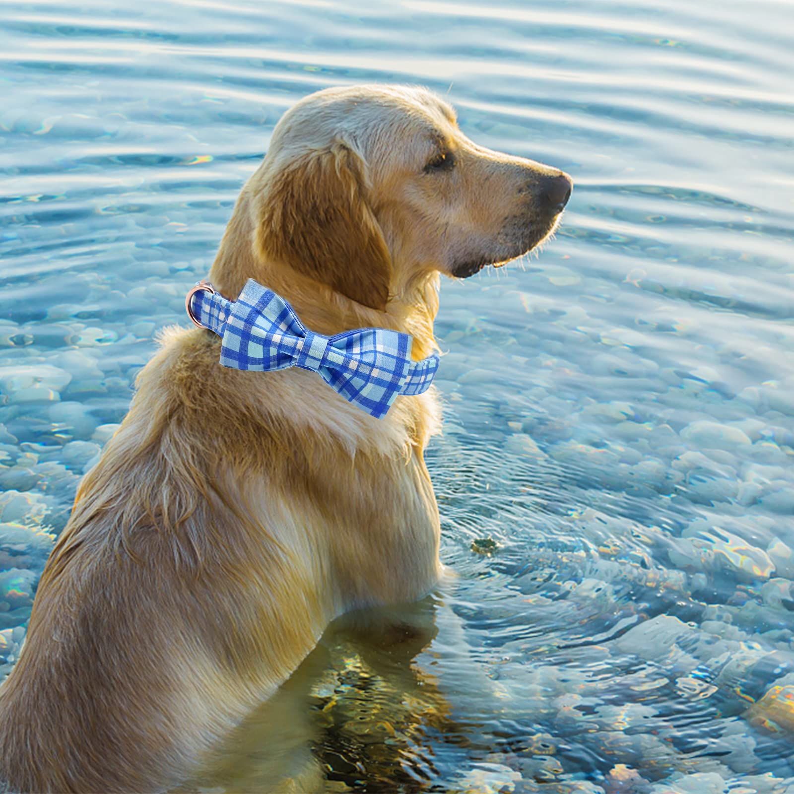 Elegant Little Tail Dog Collar With Bow - Blue Plaid Boy Dog Collar Cute Bowtie Pet Collar Adjustable Dog Collar For Small Puppy And Dog