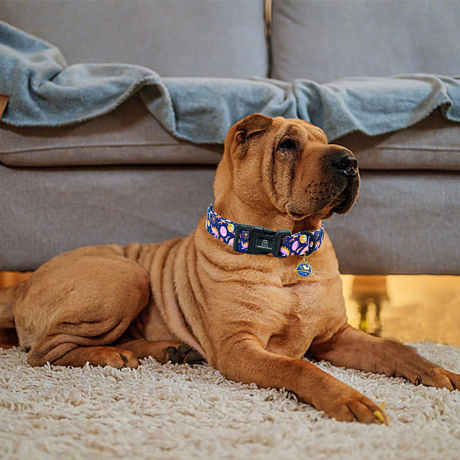 Lionheart Glory Dog Collar Dinosaurs Pattern Cute Collar For X-Small Dogs Spring Summer Female Or Male Collars Pet Gift Adjustab
