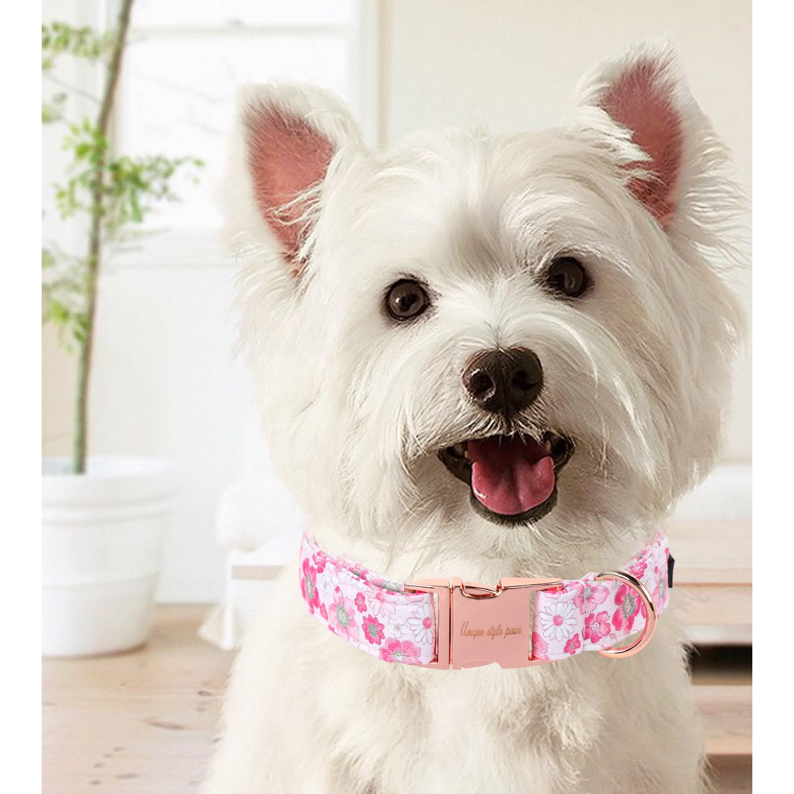 Unique Style Paws Summer Dog Collar, Cute Girl Dog Collar With Flower Pattern, Comfy&Breathable Puppy Collar For Dog,Cats Gifts