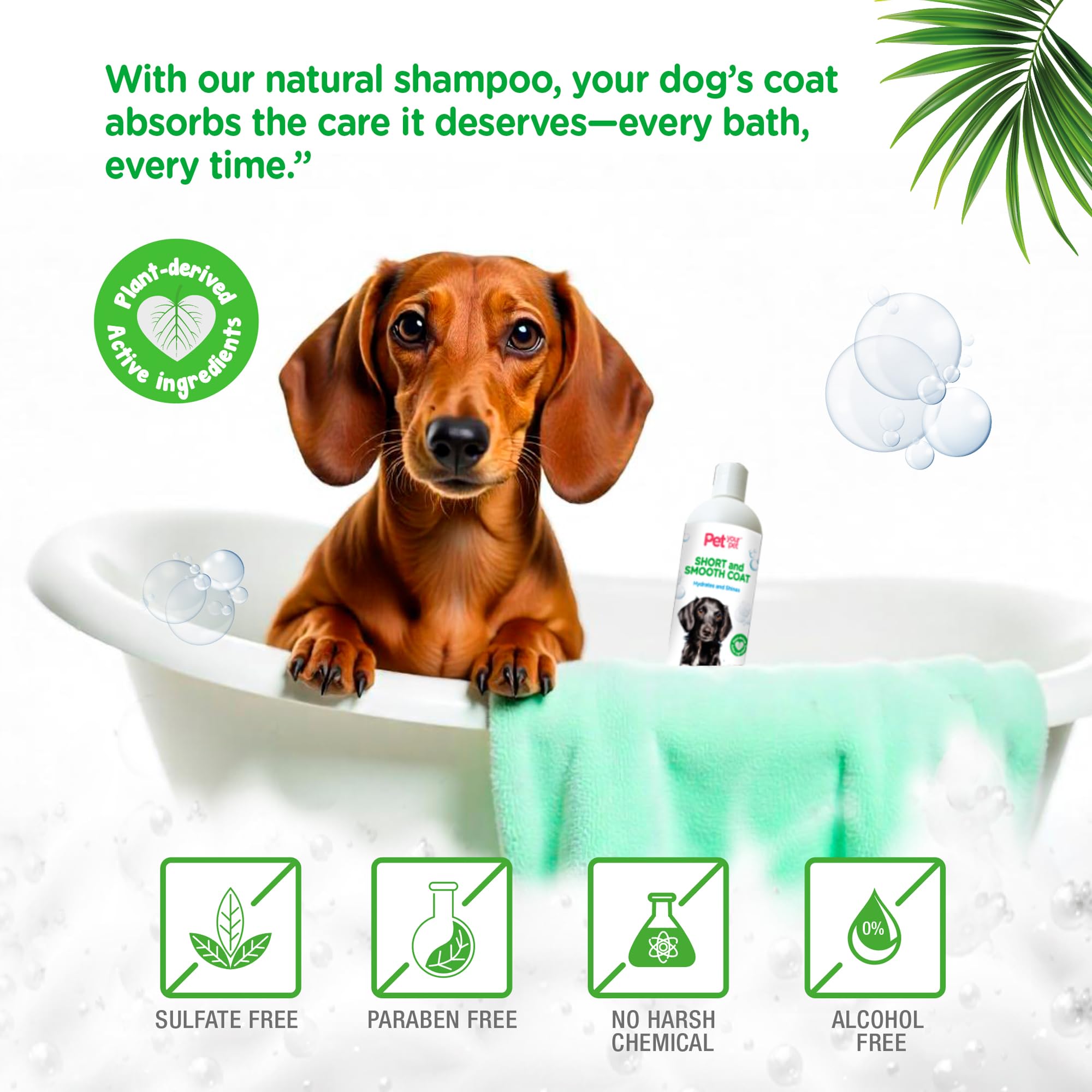 Pet Your Pet Natural Dog Shampoo For Short Coats - Hydrating Wash With Aloe, Argan & Coconut Oil - Deodorizing For Dachshunds, F