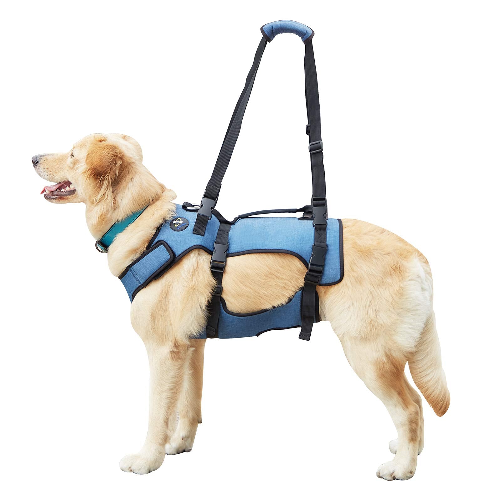 Coodeo Dog Lift Harness, Full Body Support & Recovery Sling, Pet Rehabilitation Lifts Vest for Old Dog with Arthritis Walk(Bule,
