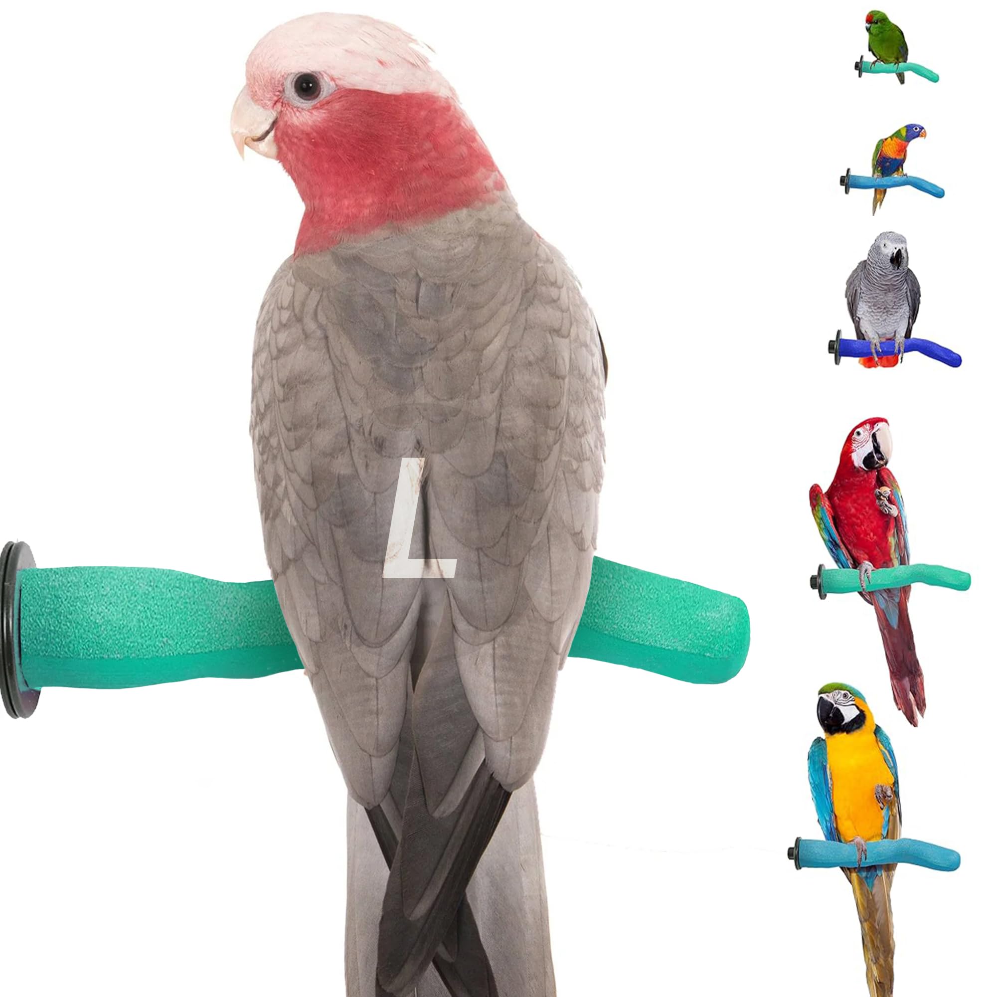 Sweet Feet And Beak Brid Cage Safety Pumice Perch - Trims Nails And Beak - Promotes Healthy Nails And Beaks - Safe Non-Toxic Bir