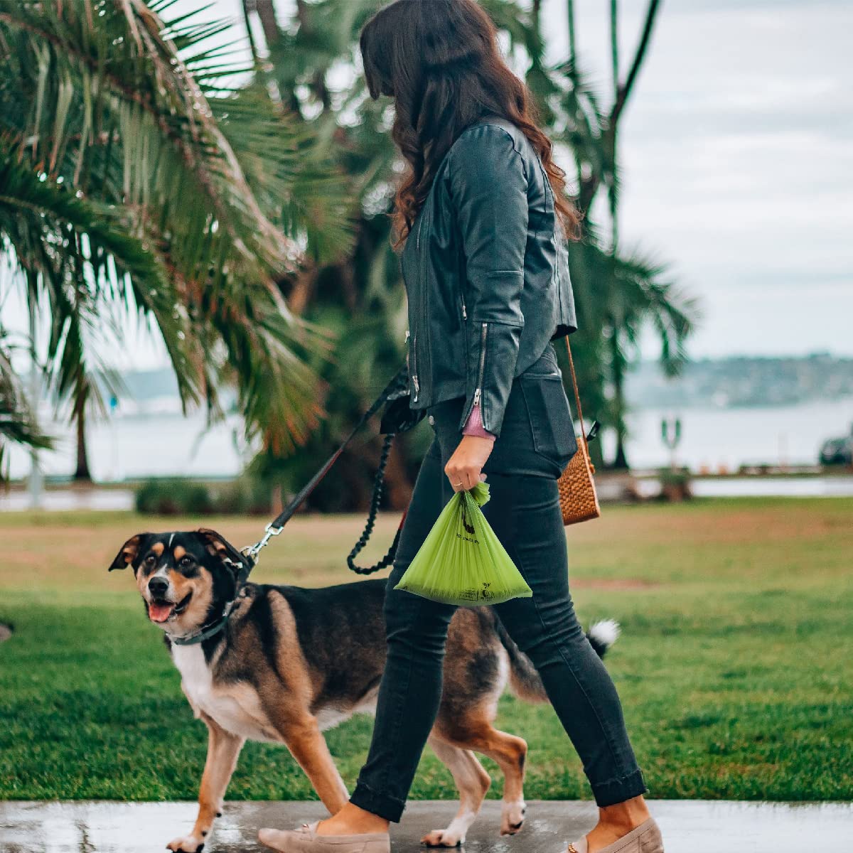Certified Compostable Dog Poop Bags, 270 Count Eco Friendly And Leakproof Dog Waste Bags, Easy Open 100% Compostable Forest Green Poop Bag For Dog, 15 Doggy Bags Per Roll (18 Rolls)