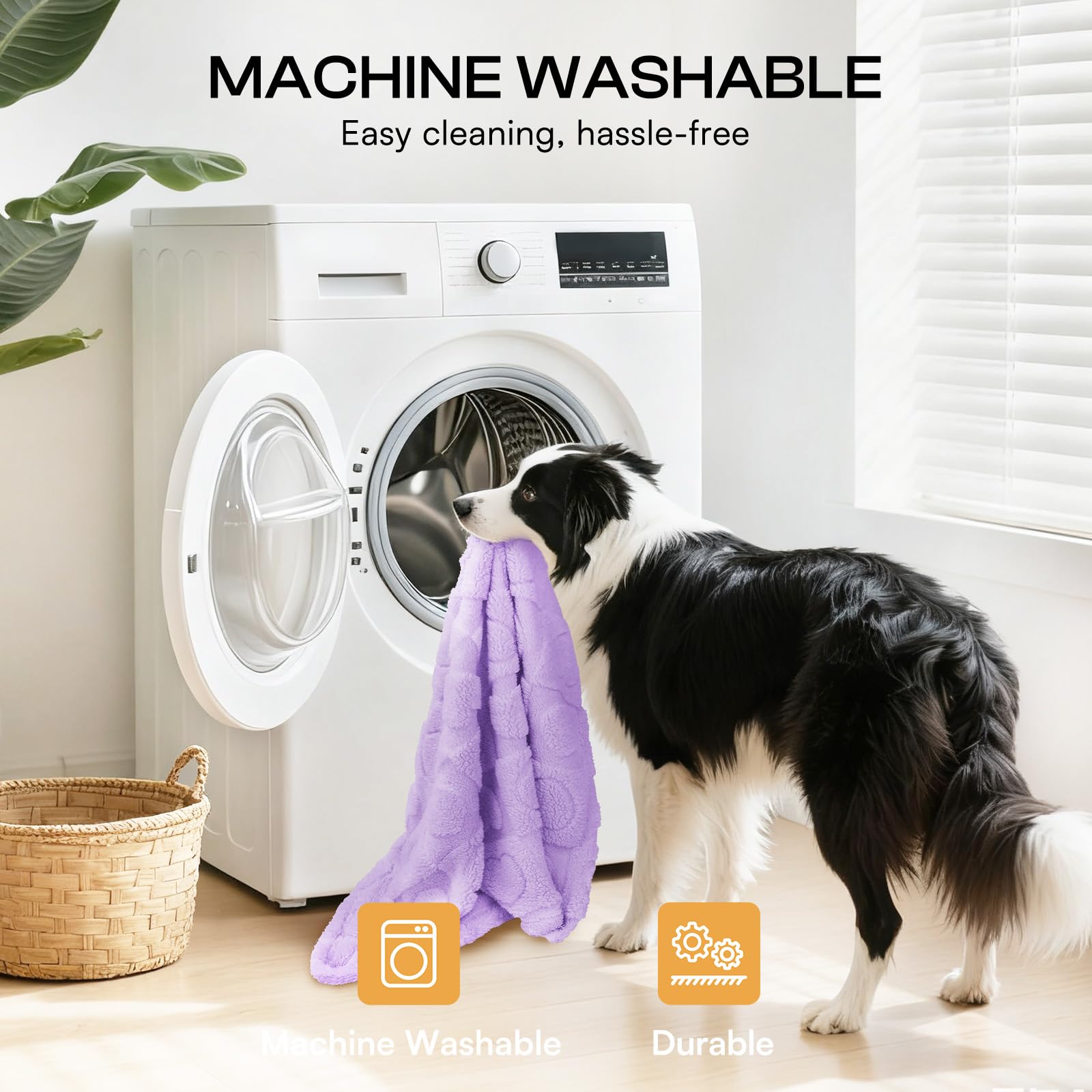 Luciphia Small Dog Blanket Washable Pet Bed Cover Soft Fluffy Puppy Blanket with Premium Fleece 300GSM Cozy Calming Cat Blankets