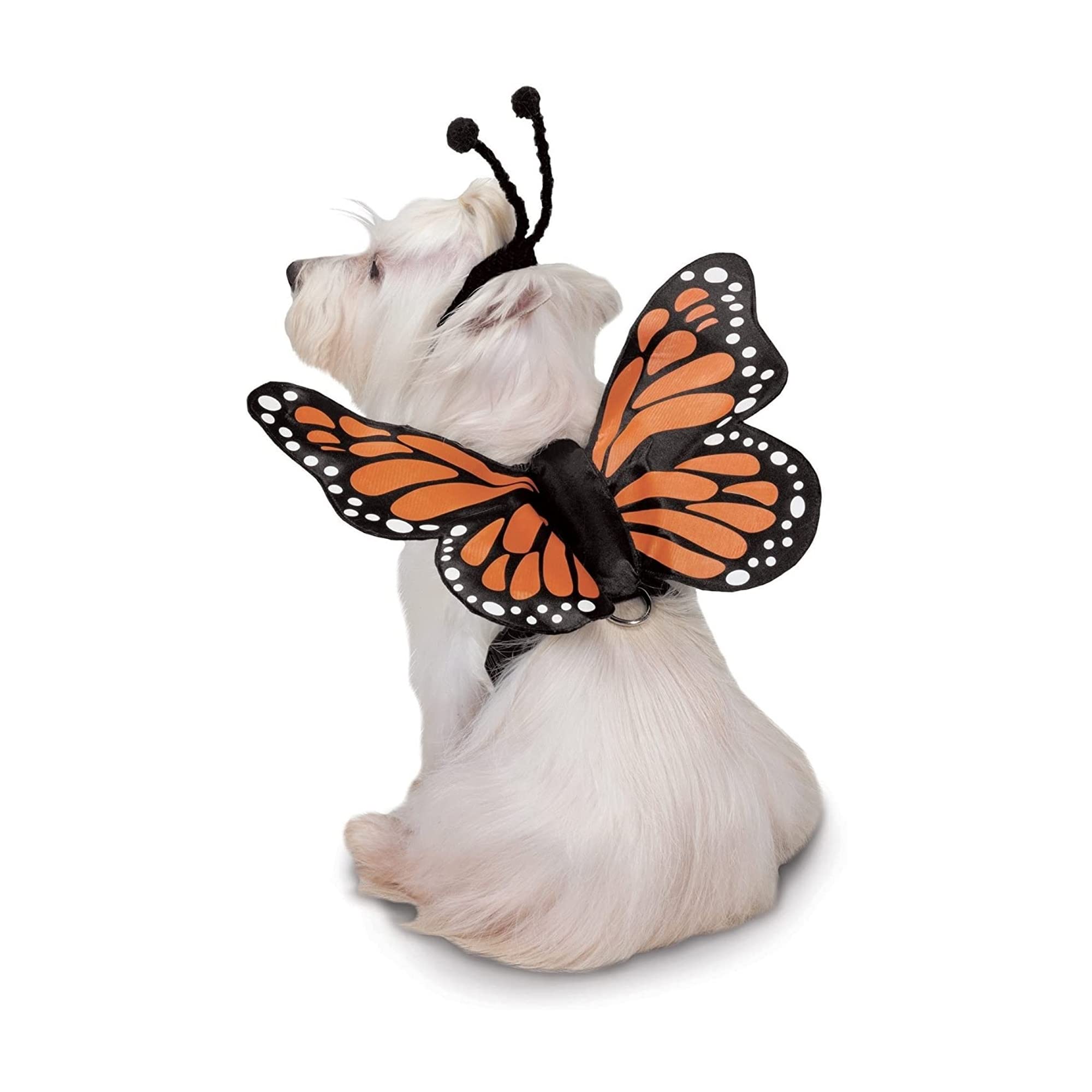 Zack & Zoey Butterfly Glow Harness Costume for Dogs, Large