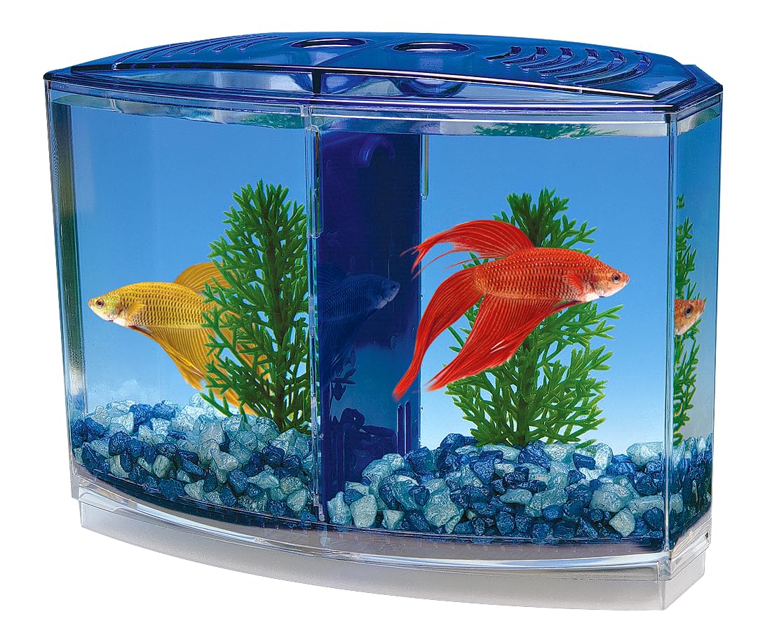 Penn-Plax Twin Betta Bow-Front Kit For Aquarium Blue, Green, Tank Is 7.5' Across The Front, 6' Across The Back