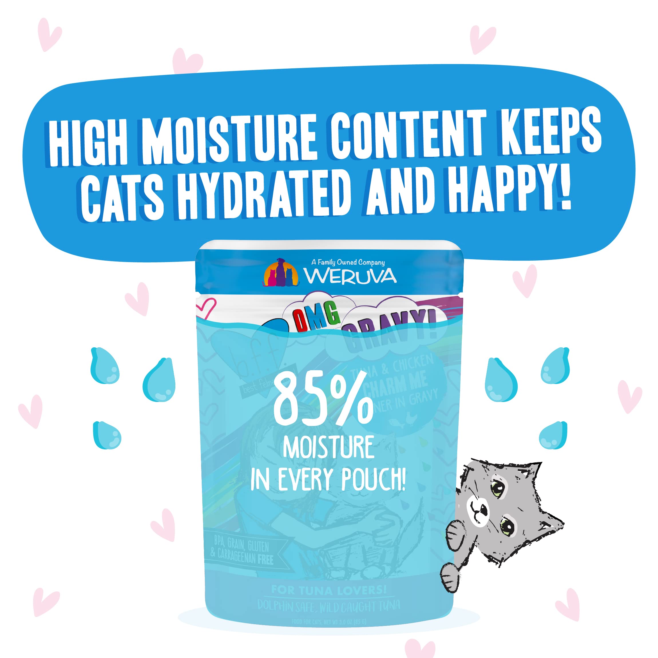 Weruva B.F.F. OMG - Best Feline Friend Oh My Gravy! Tuna & Chicken Charm Me with Tuna & Chicken in Gravy Cat Food, 3oz Pouch (Pa