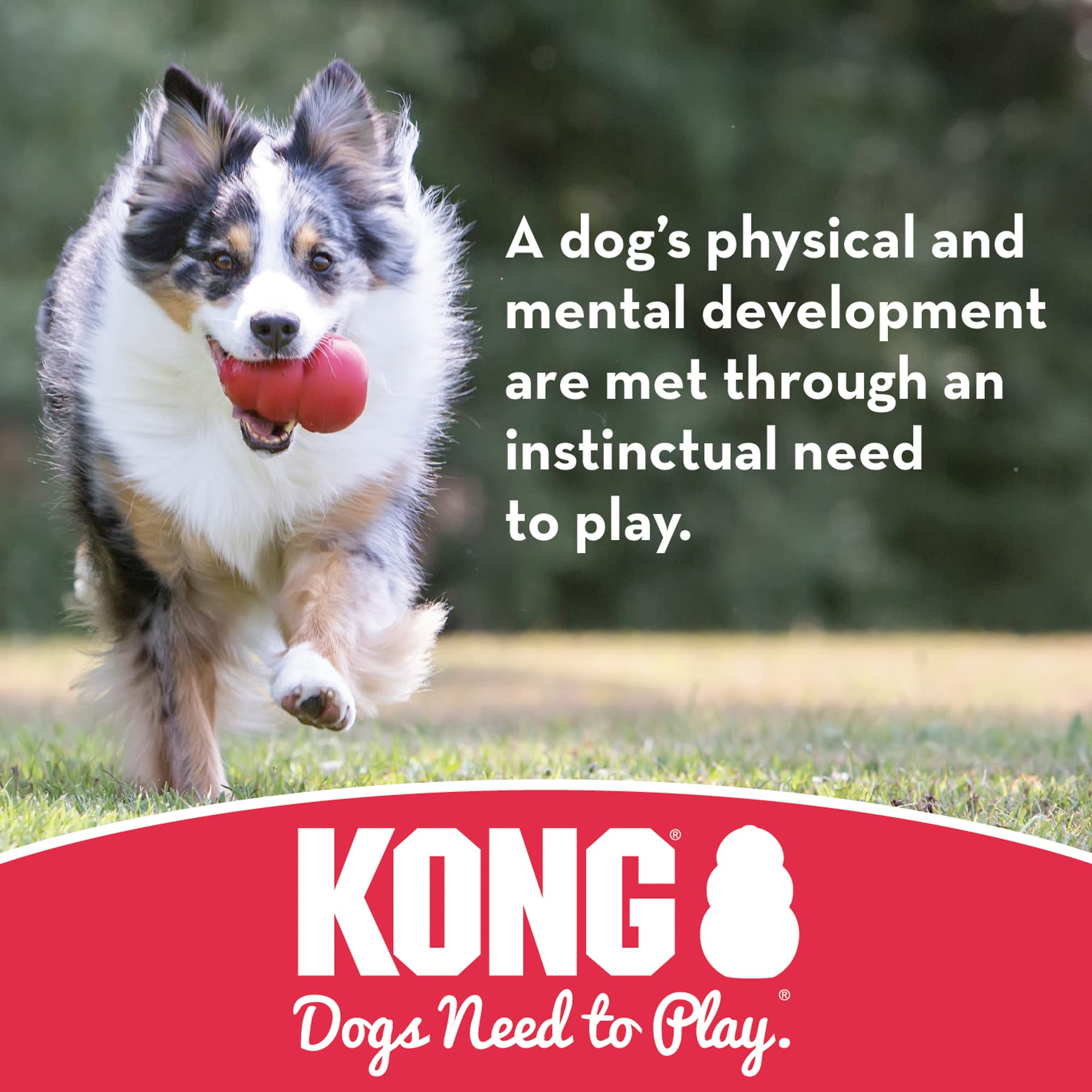 KONG Extreme Ball with Hole - Dog Fetch Toy - Durable Dog Ball Toy for Training, Interactive Playtime & More - Natural KONG Extr