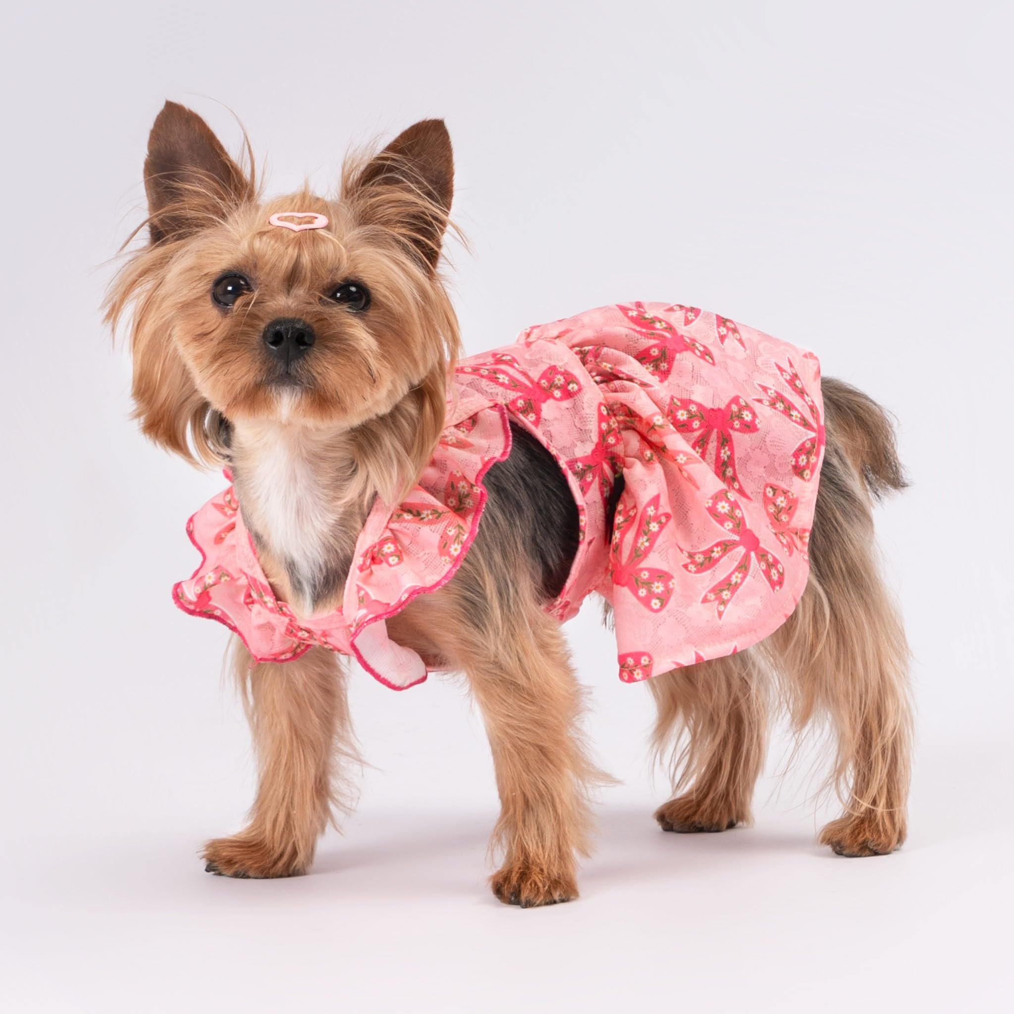 Fitwarm Ruffle Sleeves Bowknot Dog Dress, Birthday Clothes For Small Dogs Girl, Pet Outfit, Pink, Medium