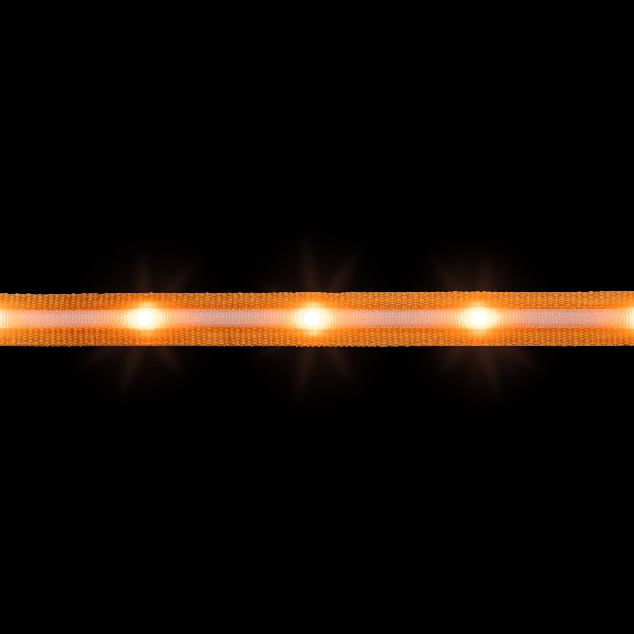 Blazin Light Up Led Dog Leash - 1,000 Feet Visibility - Usb Rechargeable, Waterproof, Glow In Dark - 4 Foot, Orange