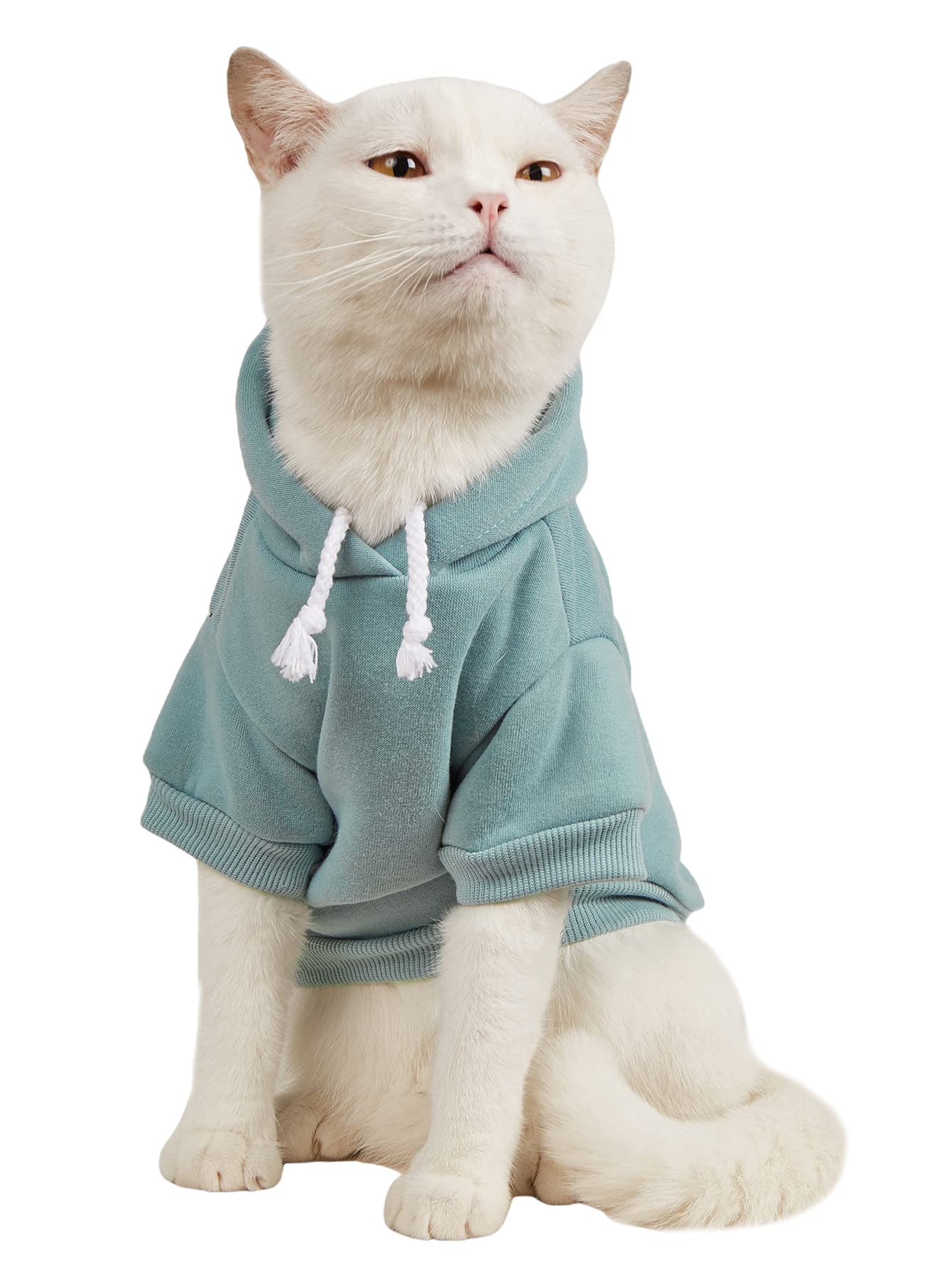 Qweenie Basic Dog & Cat Hoodie, Warm Jacket - Small/Medium, Cadet Blue