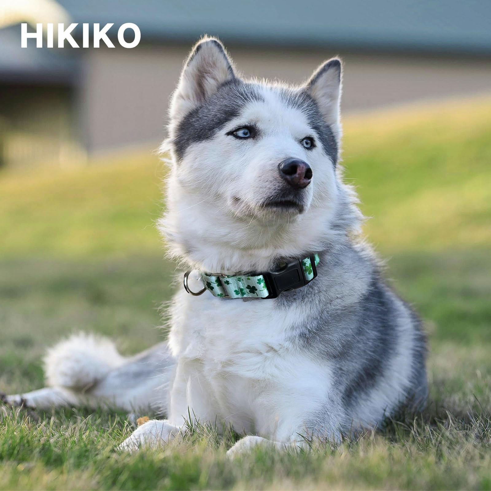 Hikiko St Patrick'S Day Martingale Collar For Dogs With Quick Release Buckle Nylon Adjustable Dog Collars Pet Gift Walking Train