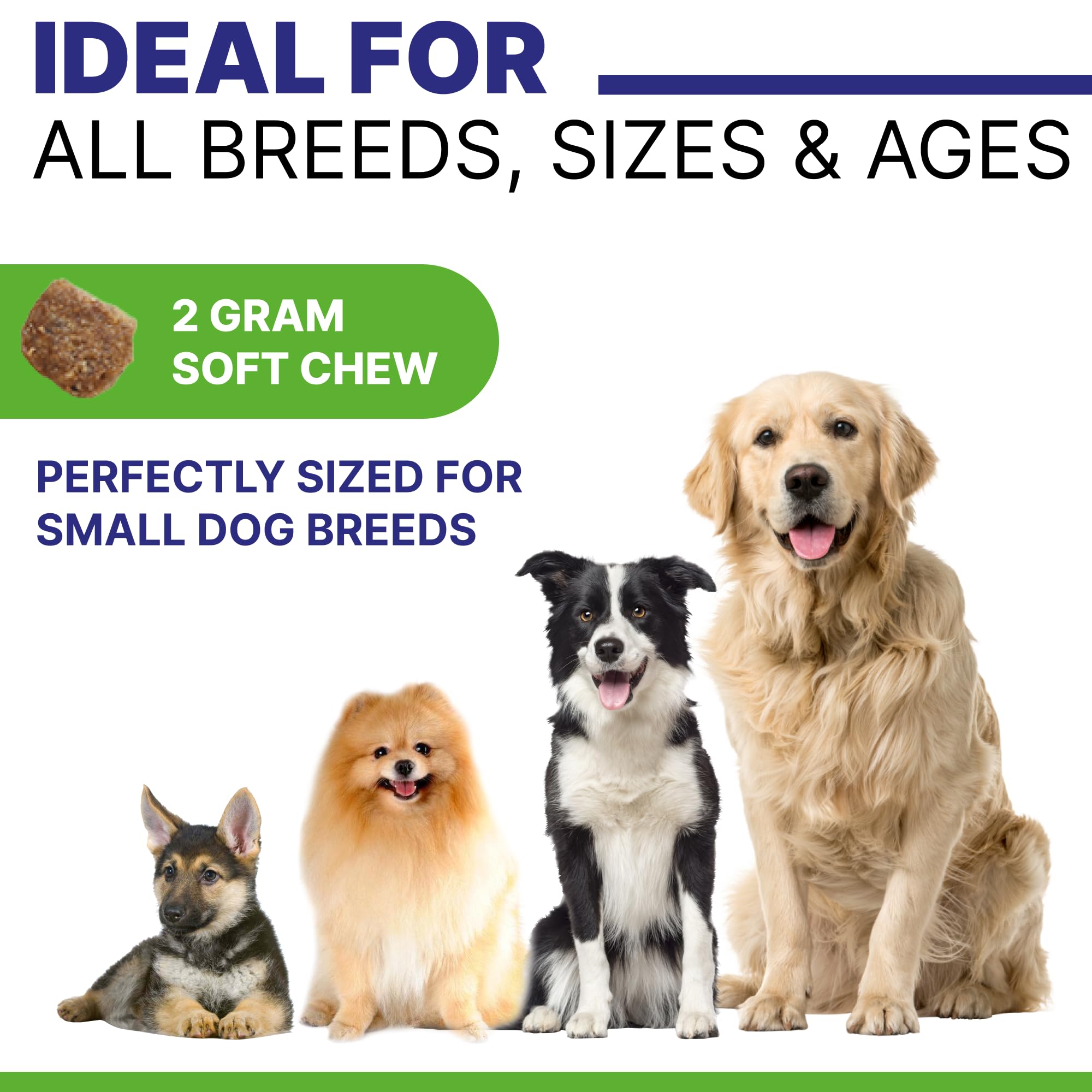 Pawsential NO Poo Chews for Dogs - Prevent Dog Poop Eating - Coprophagia Treatment - Stool Eating Deterrent - Digestive Health +