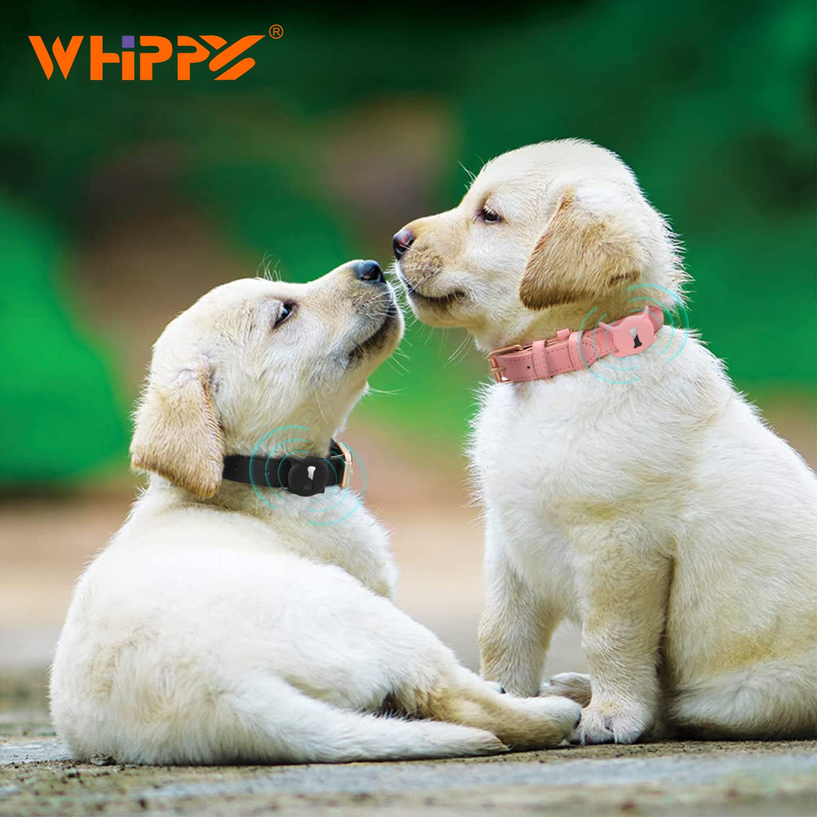 Whippy Airtag Leather Dog Collar Gps Tracker Air Tag Puppy Collar Adjustable Soft Leather Padded Dog Collar With Airtag Holder C