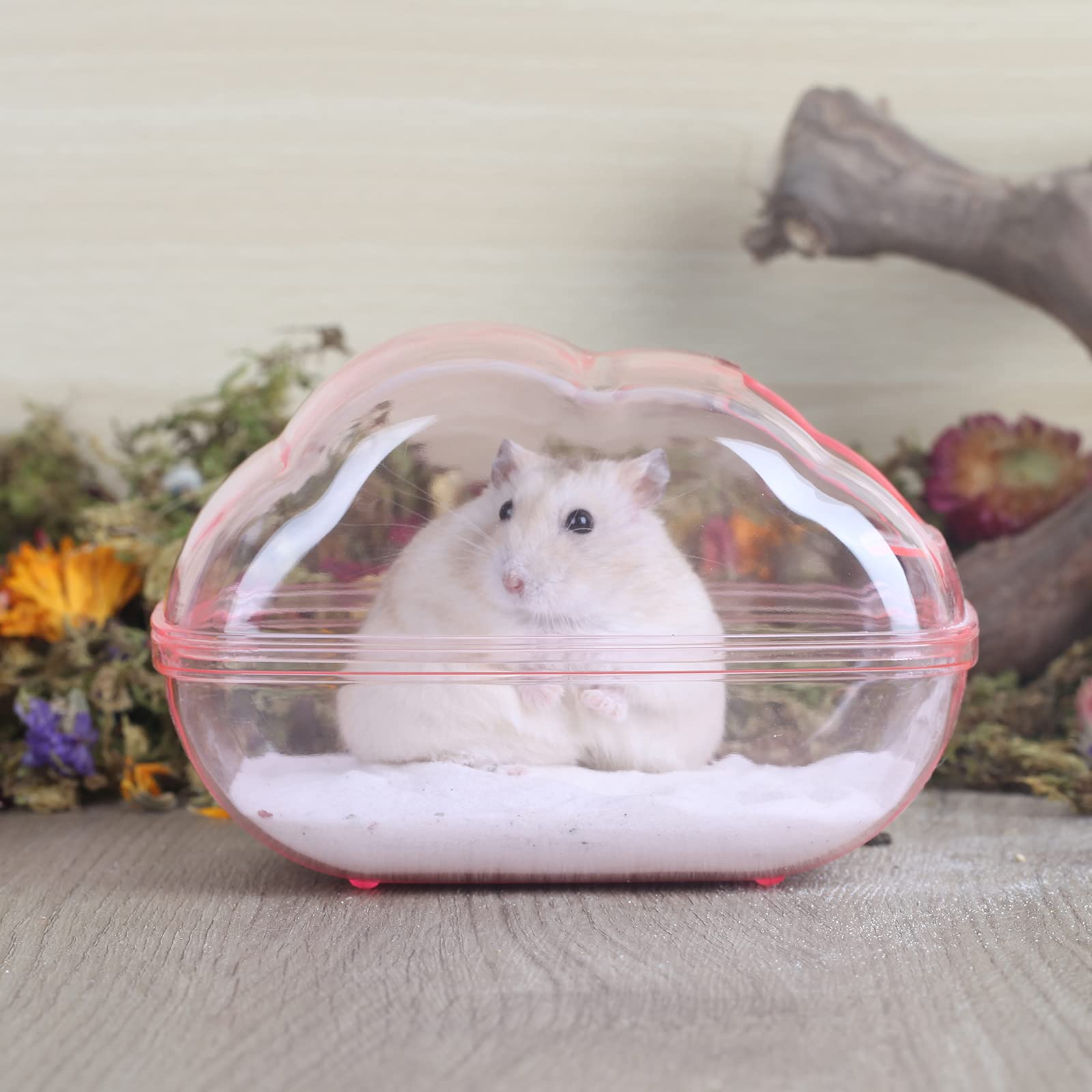 Bucatstate Hamster Sand Bath Container Transparent Hamster Dust Bath Kit Dwarf Toilet With Scoop Set Cage Accessories For Small Animals,Gerbil,Syrian Hamster,Mouse(Blue, Medium)