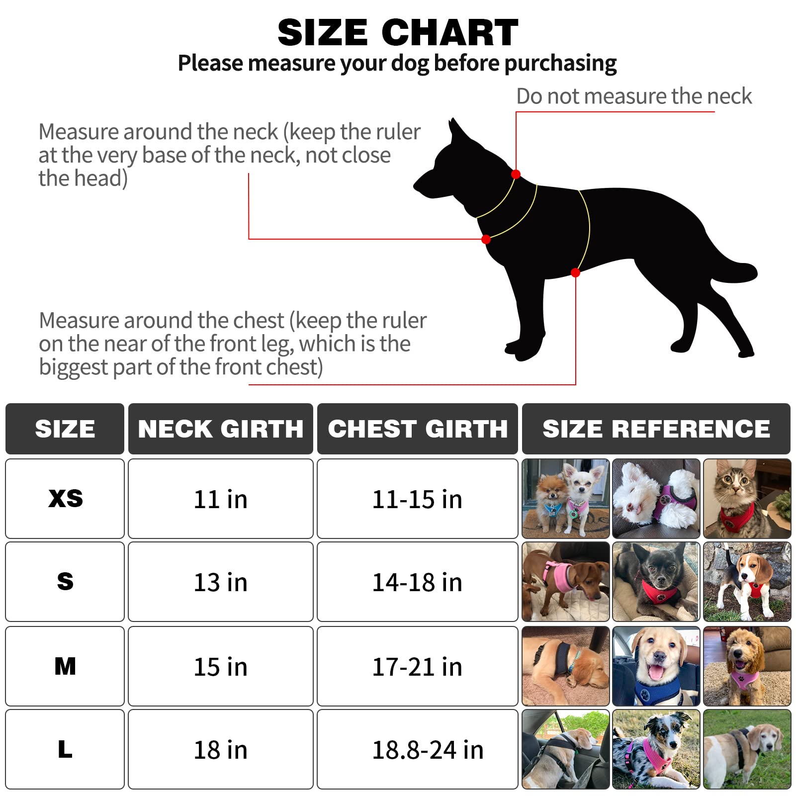 Bingpet No Pull Dog Harness For Small Medium Dogs,All Weather Mesh Step In Vest Harness For Small Dogs,Breathable Mesh Puppy Cat Harnesses,Step-In Air Dog Harness For For Small Dogs,Purple,Medium