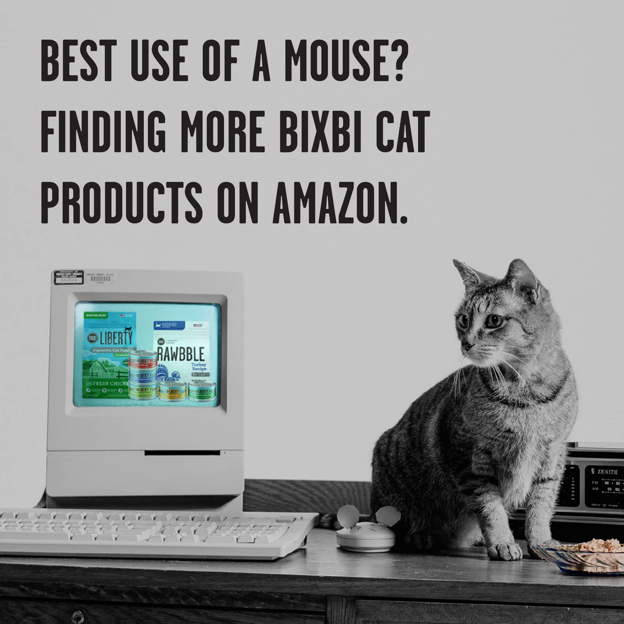 BIXBI Rawbble Freeze Dried Cat Food, Beef Recipe, 10 oz - 97% Meat and Organs, No Fillers - Pantry-Friendly Raw Cat Food for Mea
