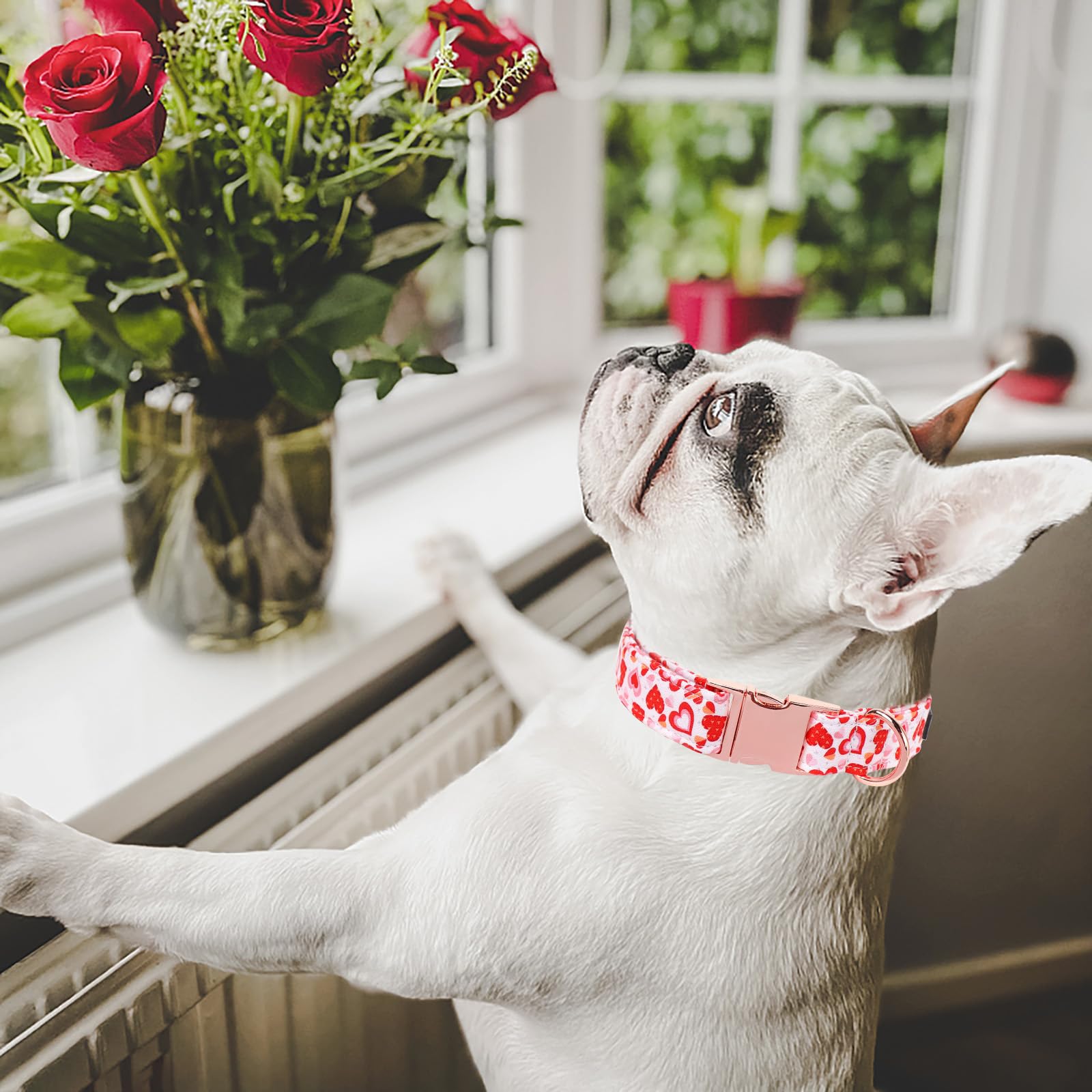 M MACA BATES Valentines Dog Collar - Adjustable Soft Heart Design, Size L, Valentine-Pink Love for Small Medium Large Dogs