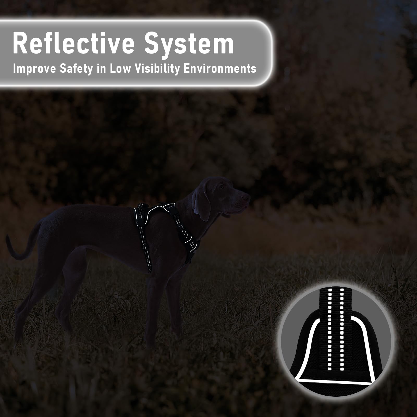 Aunzo No Pull Dog Harness For Large Dogs, Golden Retriever, Labrador, German Shepherd Etc, Easy To Put On And Take Off, Reflecti