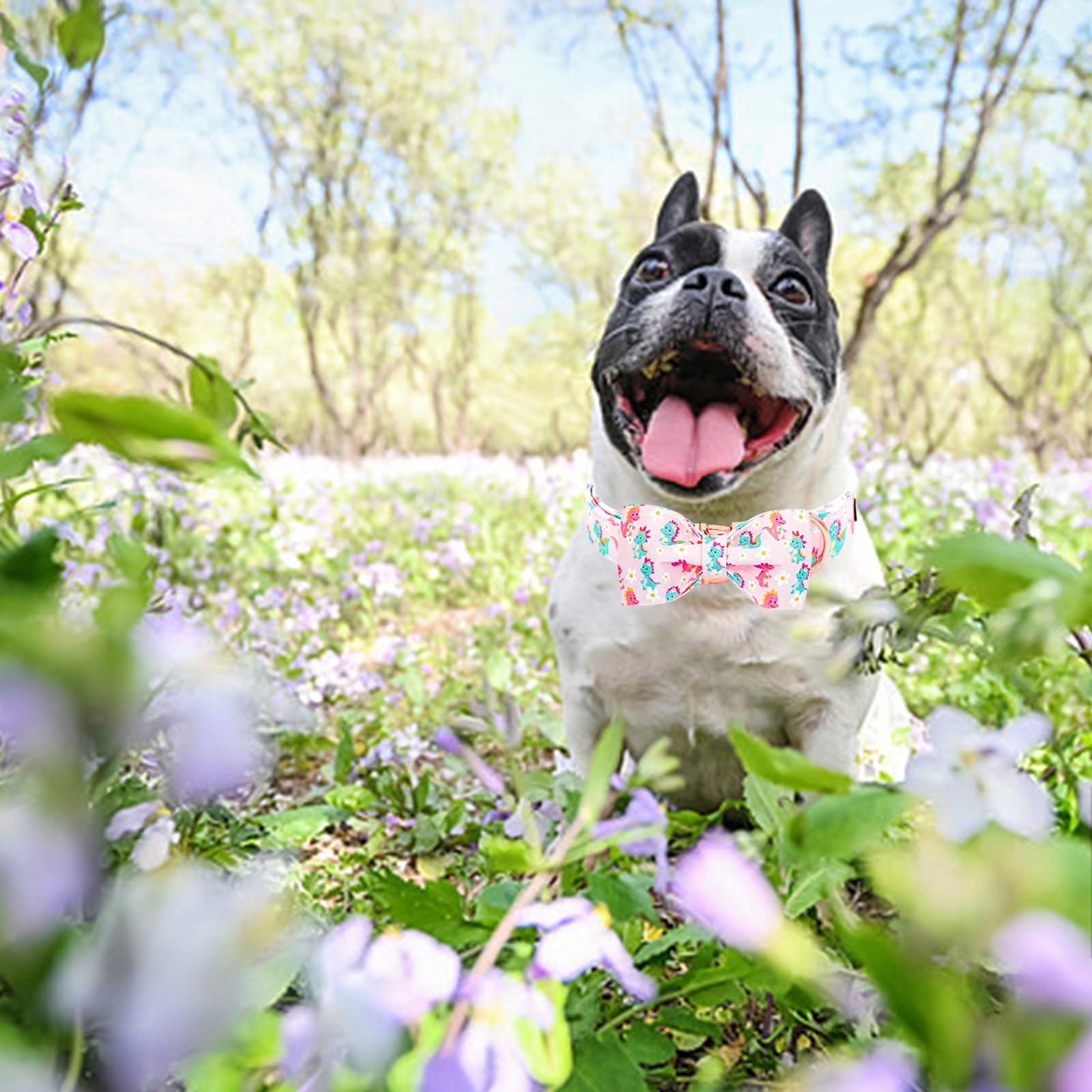 Lionheart Glory Dog Bow Collar Dinosaurs Pattern Cute Collars For X-Small Dogs,Soft Duty Adjustable Dog Collar With Bowtie Sprin