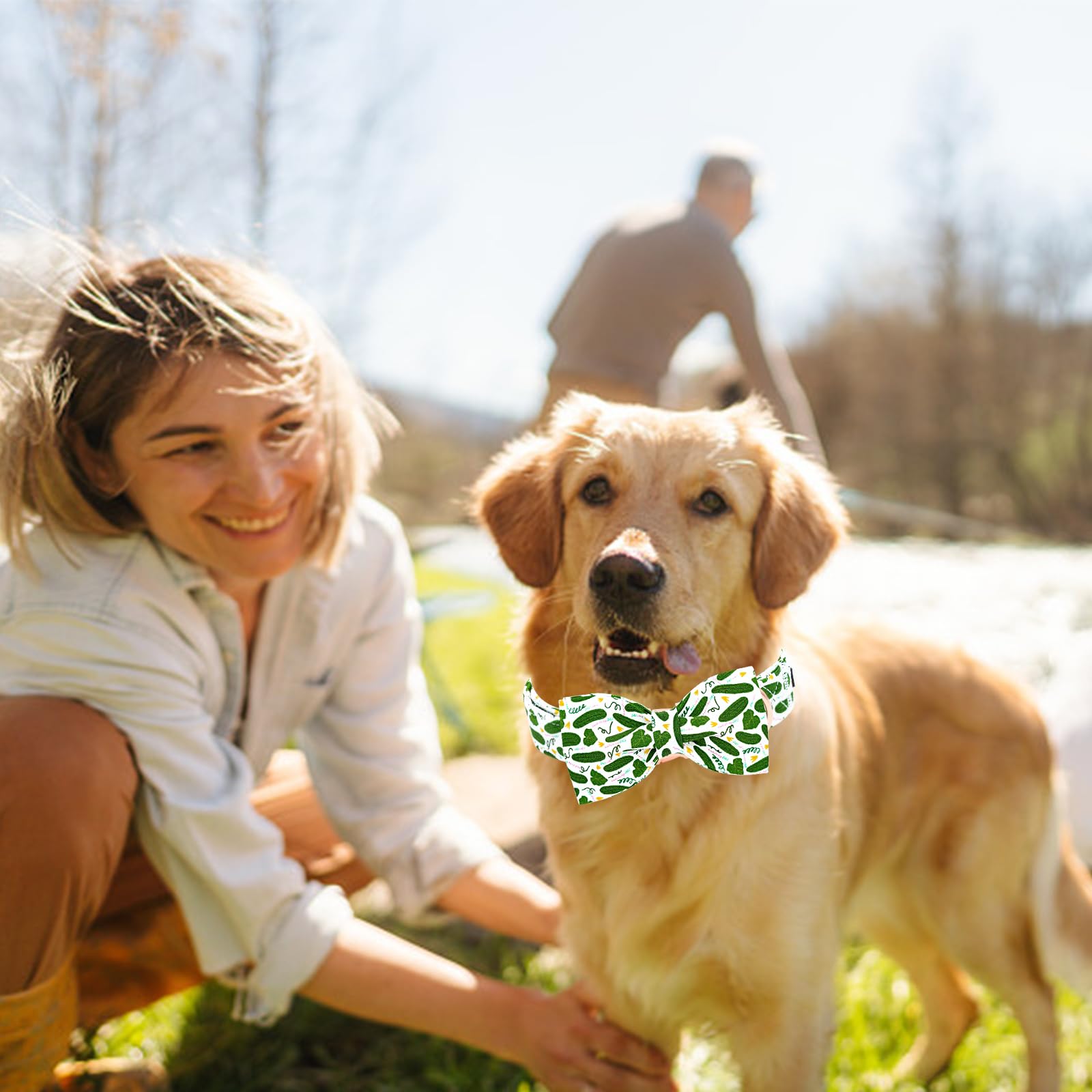 Lionheart Glory Dog Bow Collar Cucumbers Print Dog Collar For X-Small Dogs,Female Male Dog Collars With Bowtie Spring Summer Col