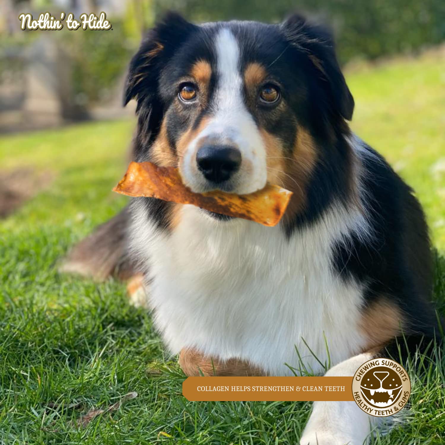 Fieldcrest Farms Nothin to Hide Flip Chips Chews for Dogs - All Natural Rawhide Alternative Treats for Dogs, Chicken, Beef or Pe
