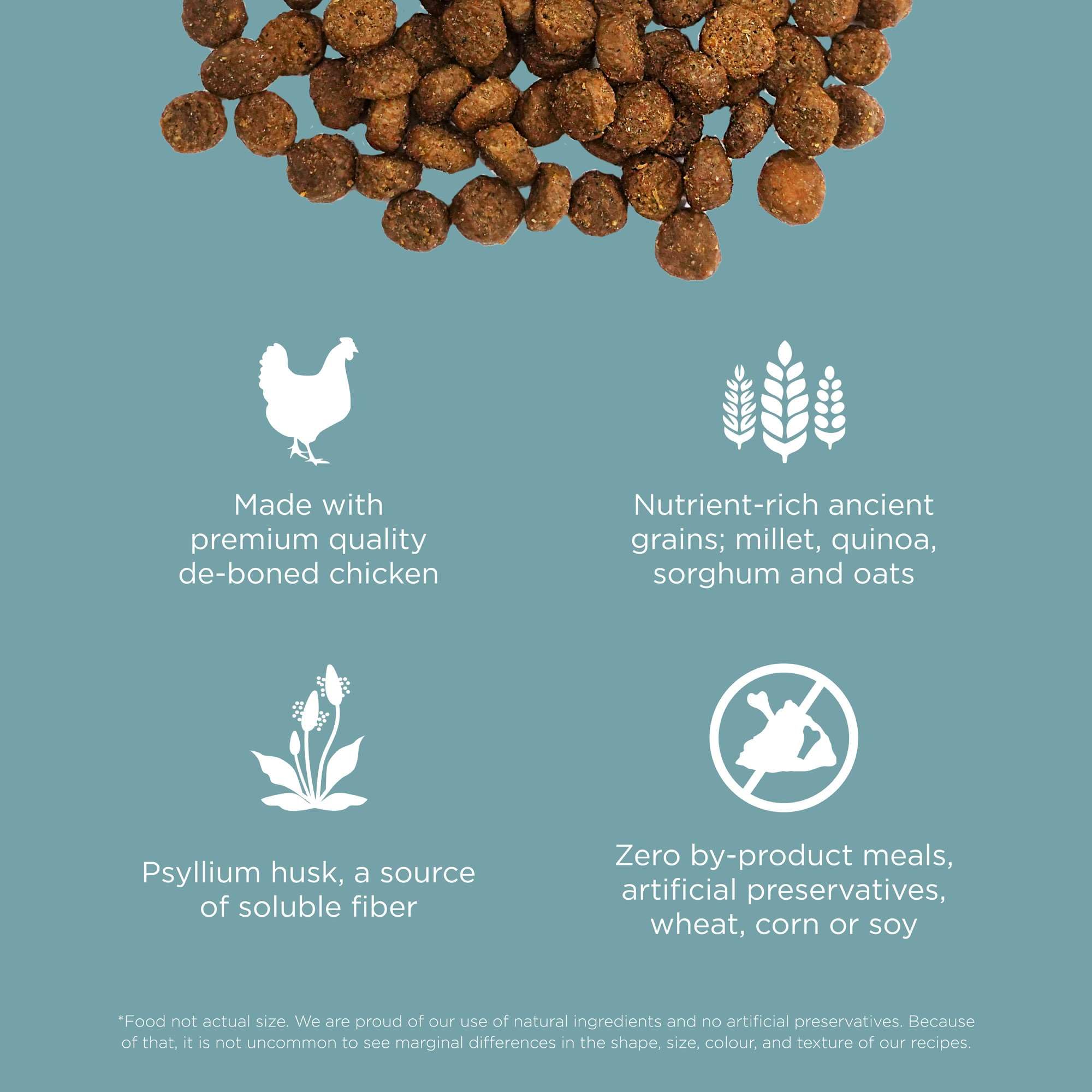 Go! Solutions Digestion + Gut Health Chicken Dry Cat Food, Premium-Quality Kibble for Gastrointestinal & Digestive Wellness, Sup