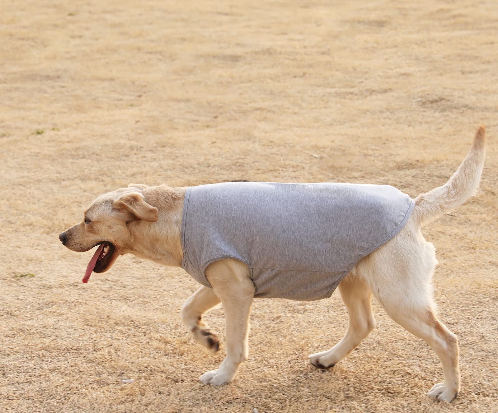 Sychien Dog Blank Cotton Shirts,Plain Dogs Large Clothes,Boy Girl Pet Costumes,Army & Deep Green Xl