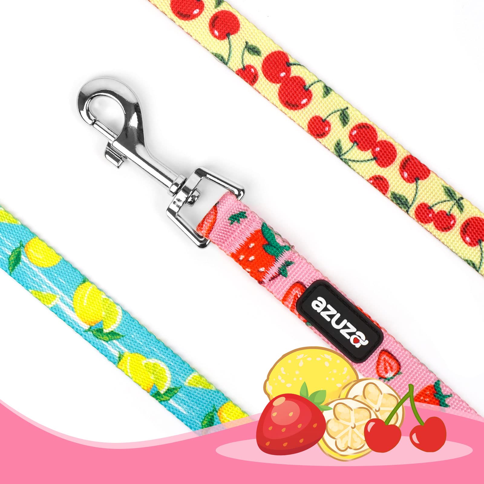 Azuza 3 Pack Fruit Design Nylon Dog Leashes Strong & Durable Basic Dog Leash With Easy To Use Collar Hook For Medium Dogs, M (5F